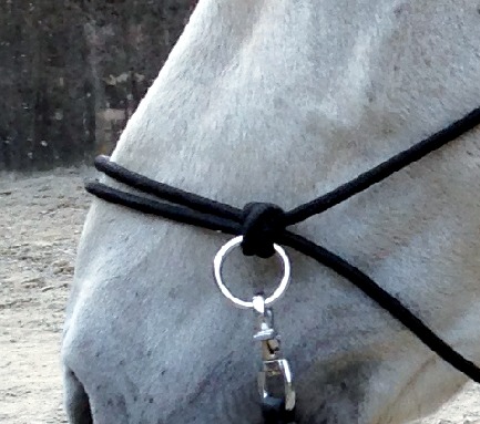 NORTON Repgrimma Med Tyglar Svart - 3
