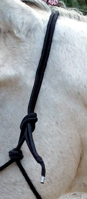 NORTON Repgrimma Med Tyglar Svart - 4