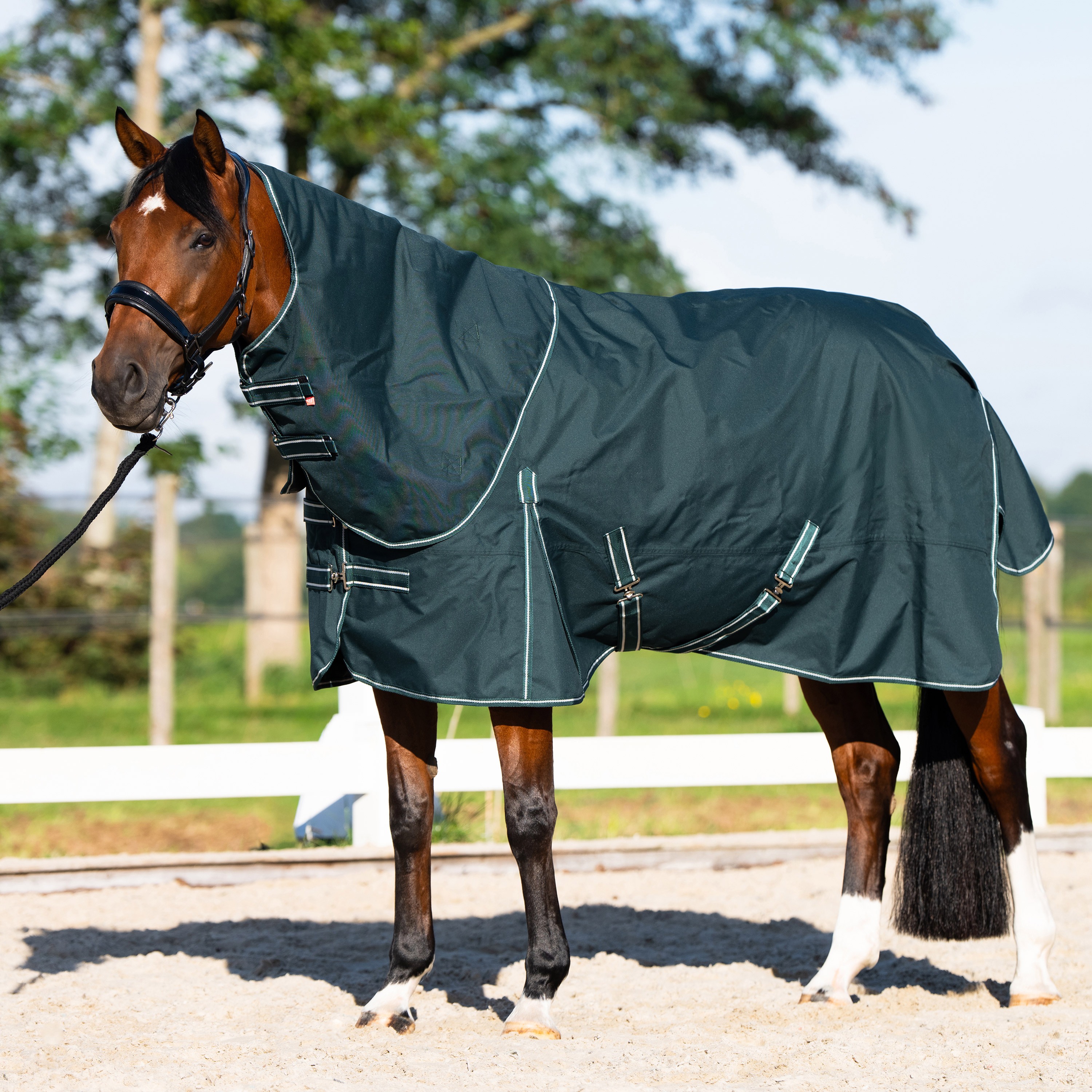 Imperial Riding Ulkoloimi Basic with detachable neck Summer - Vihreä