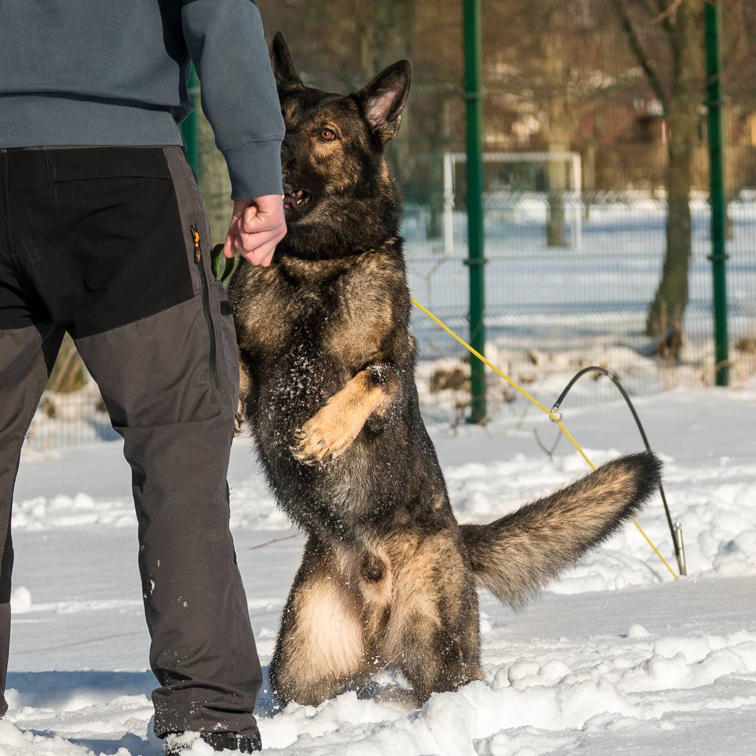 RADDOG Flexipole - 4