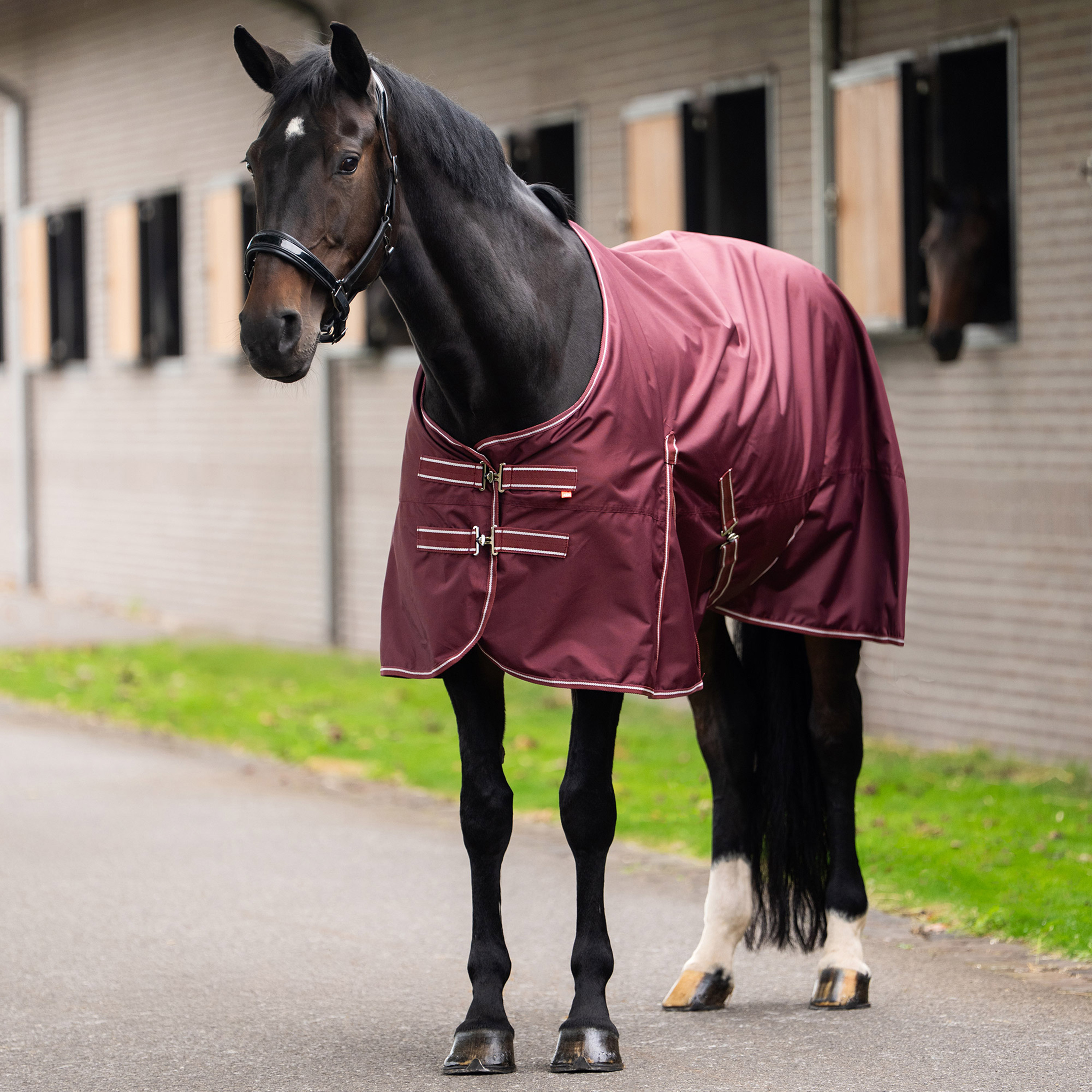 Imperial Riding Ulkoloimi Basic without neck 300gr - Syvänpunainen
