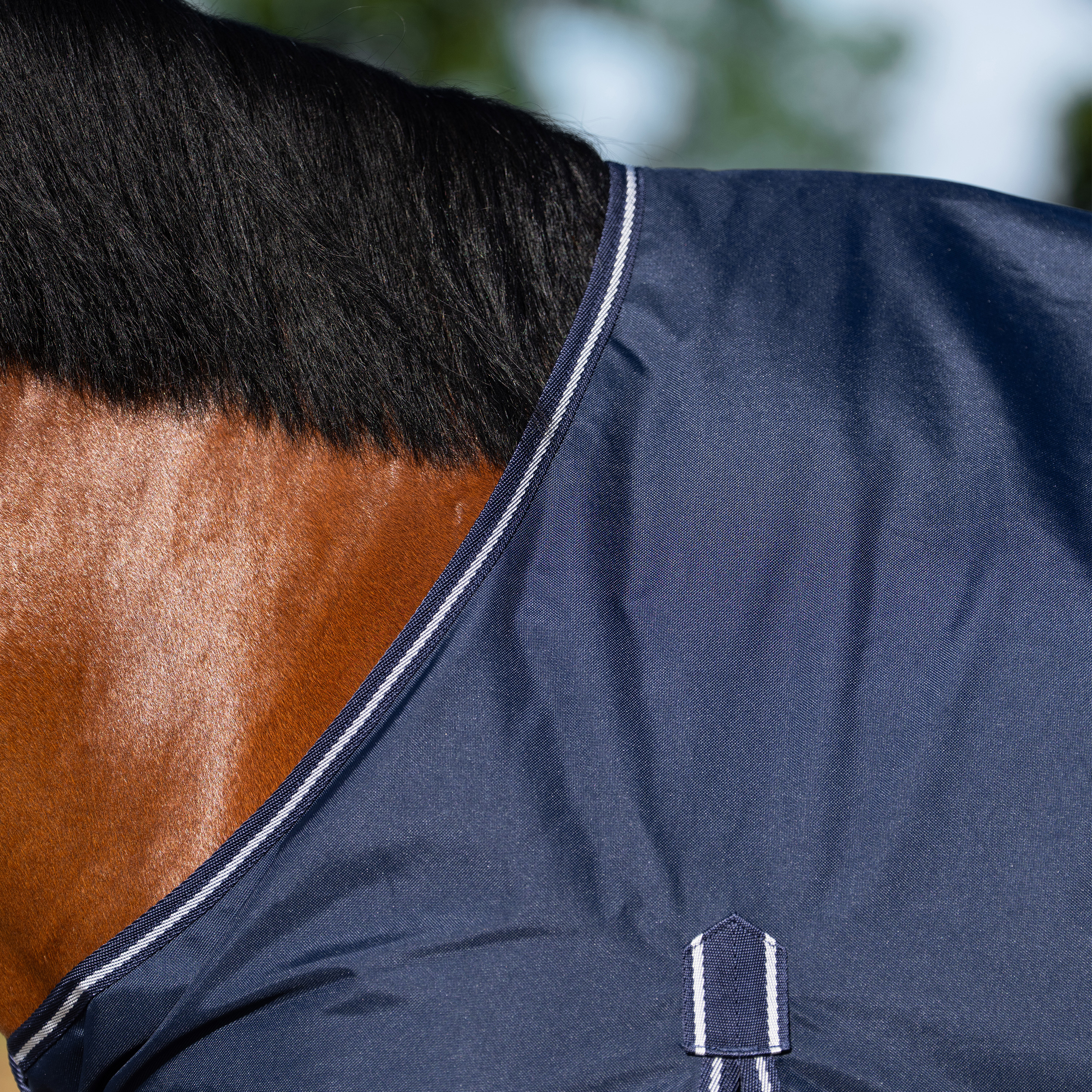 Imperial Riding Outdoor blanket Basic without neck 300gr - Navy - 4