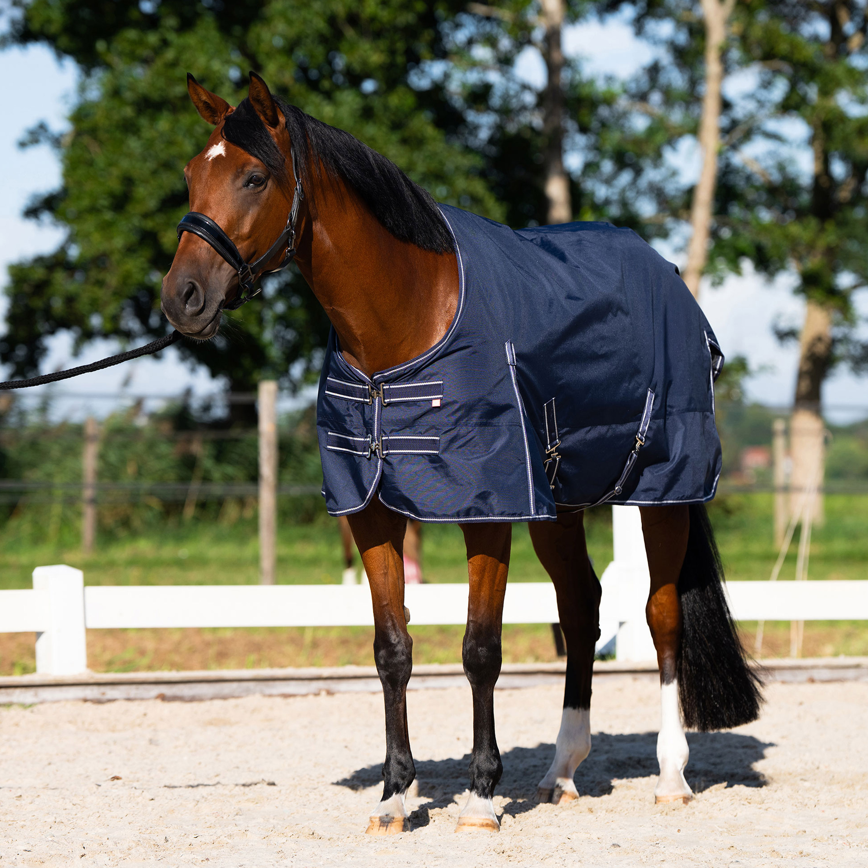 Imperial Riding Outdoor blanket Basic without neck 300gr - Navy