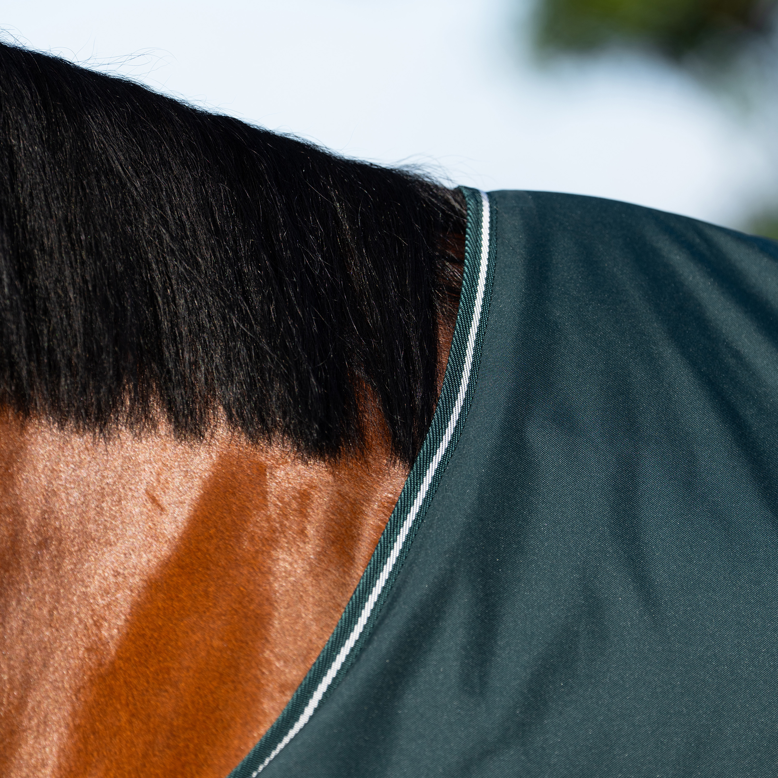 Imperial Riding Ulkoloimi Basic without neck Summer - Vihreä - 4