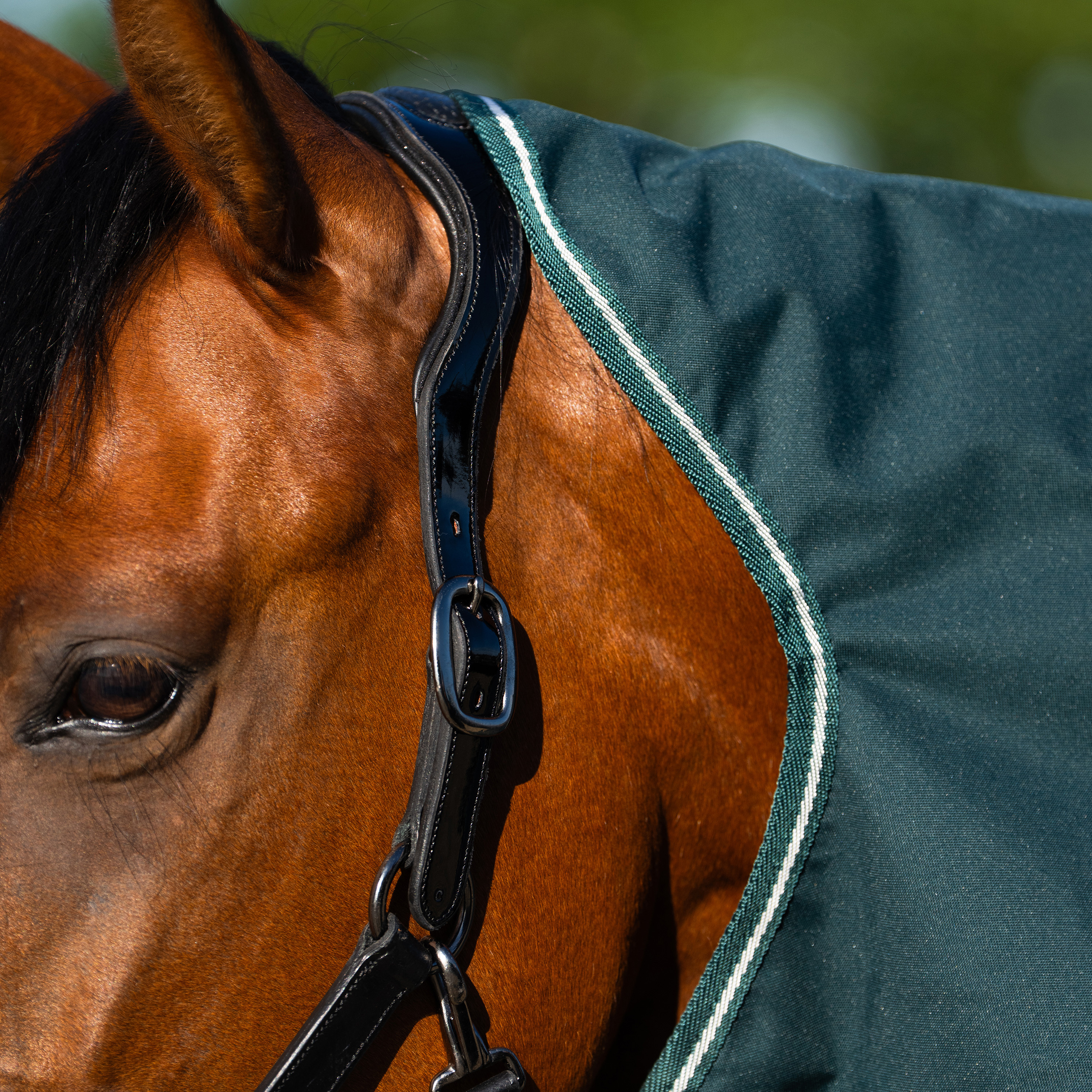 Imperial Riding Outdoor blanket Basic with detachable neck Fleece - Green - 2