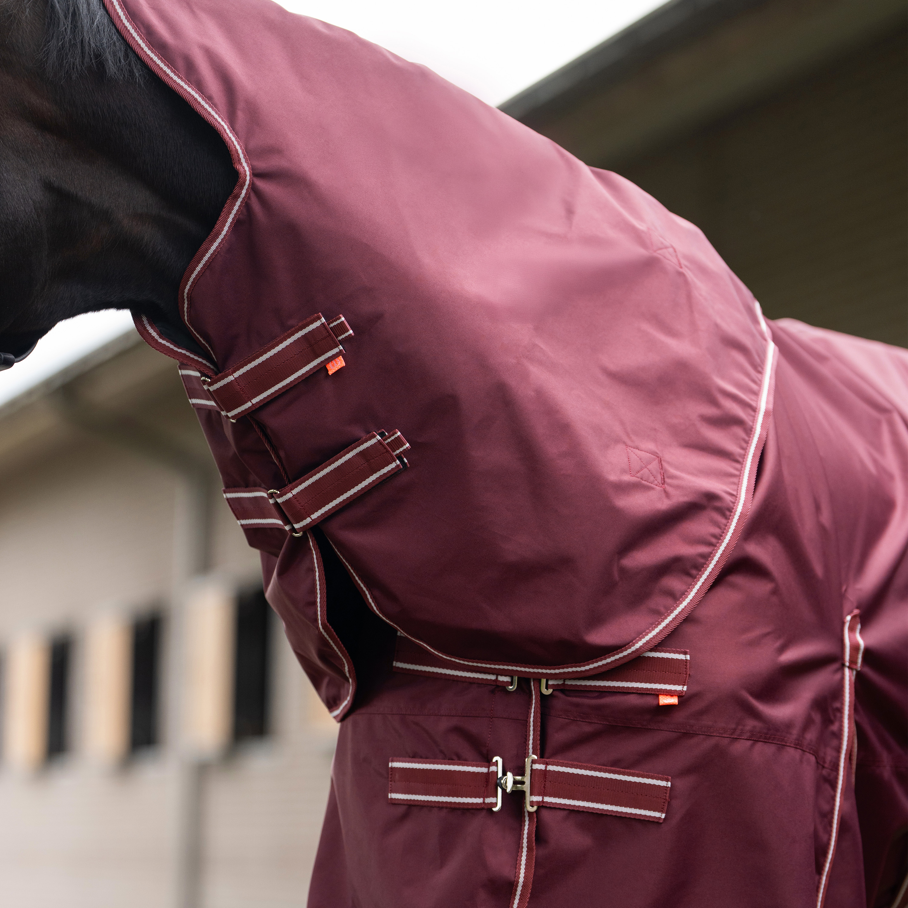 Imperial Riding Outdoor blanket Basic with detachable neck 200gr - Deep Red - 2