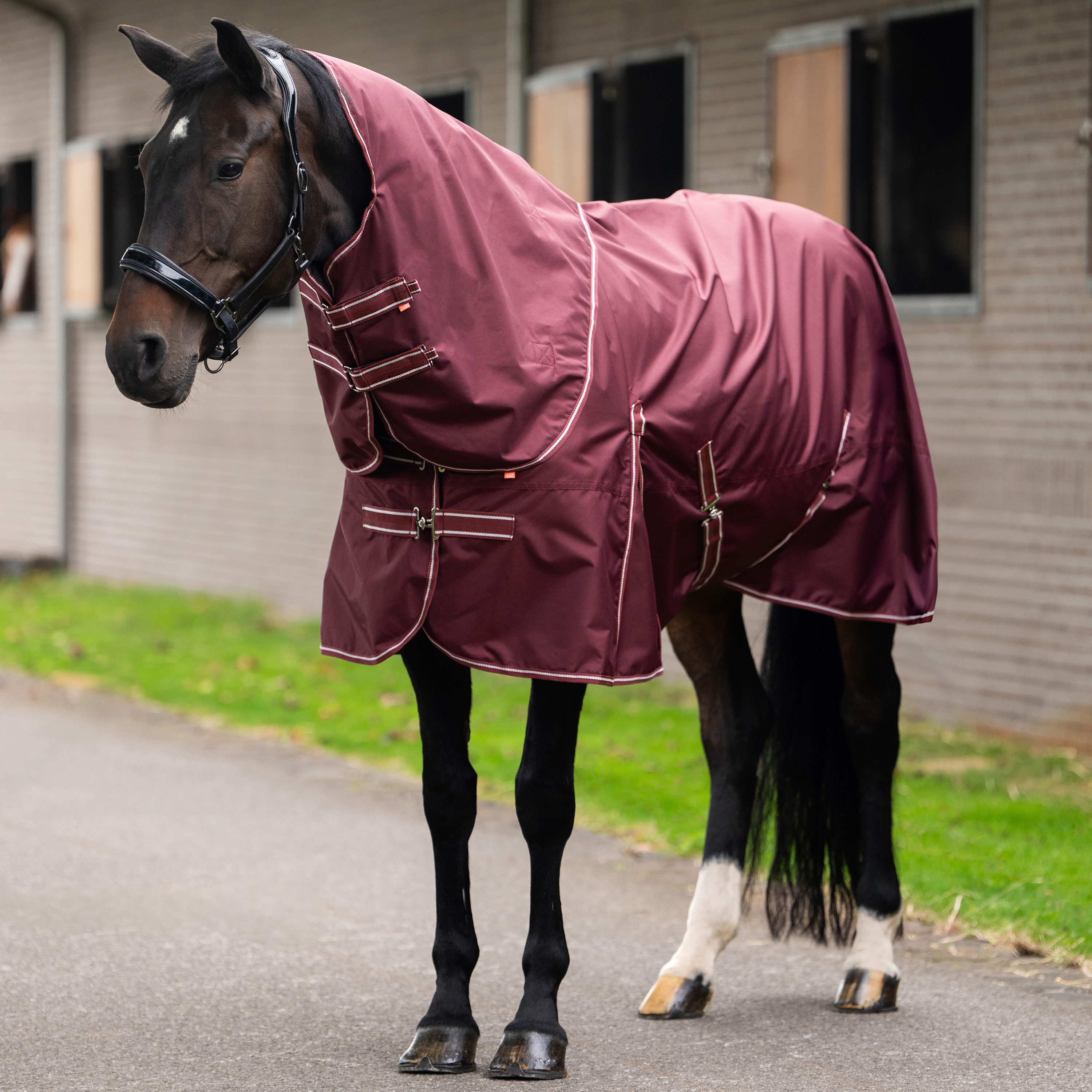 Imperial Riding Outdoor blanket Basic with detachable neck 200gr - Deep Red