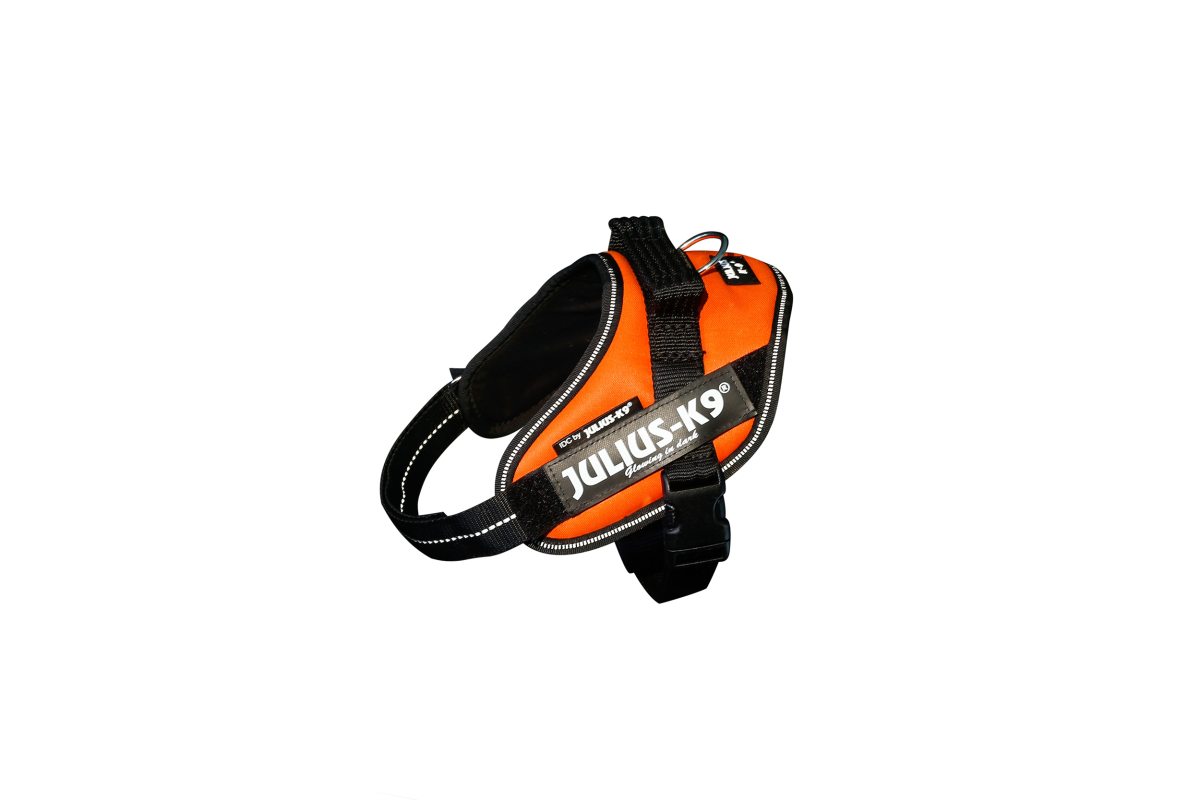 Julius-K9 IDC Hundsele - UV Orange - 4