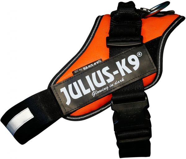 Julius-K9 IDC® Hundsele - UV Orange (Mini-Mini)