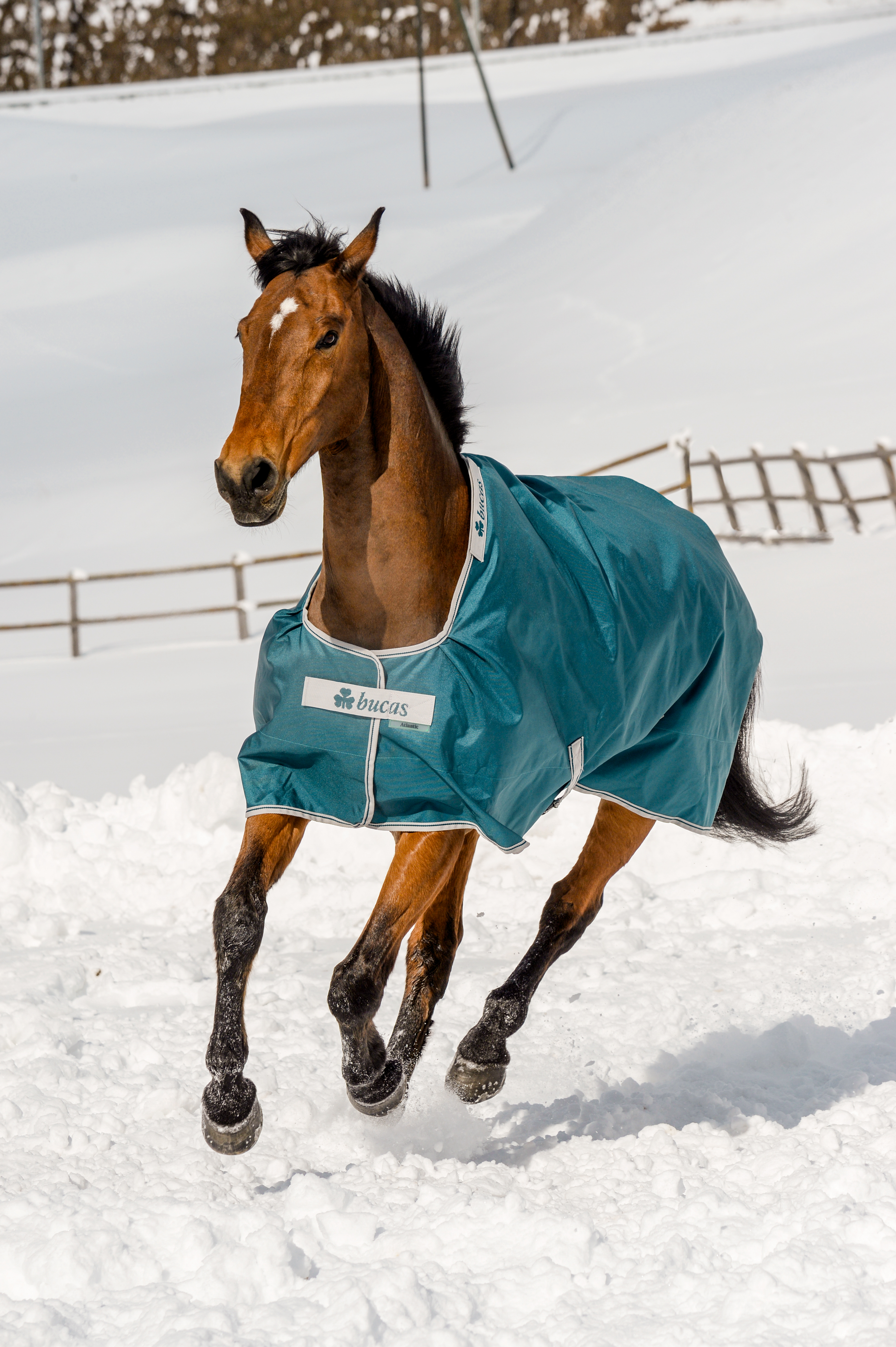 Bucas Atlantic Turnout 400 g Horse Rug - Atlantic Green 