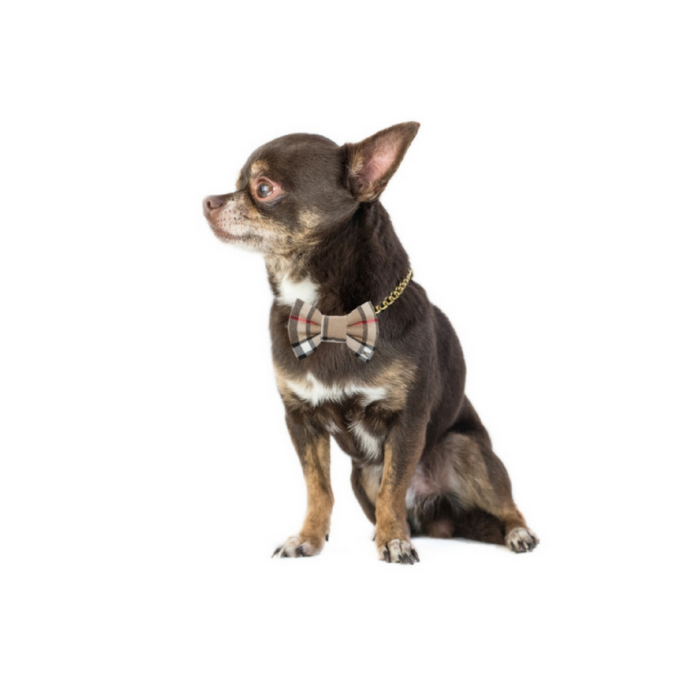 Funky Dog - Fliege zu Hund und Katze, braun kariert - 3