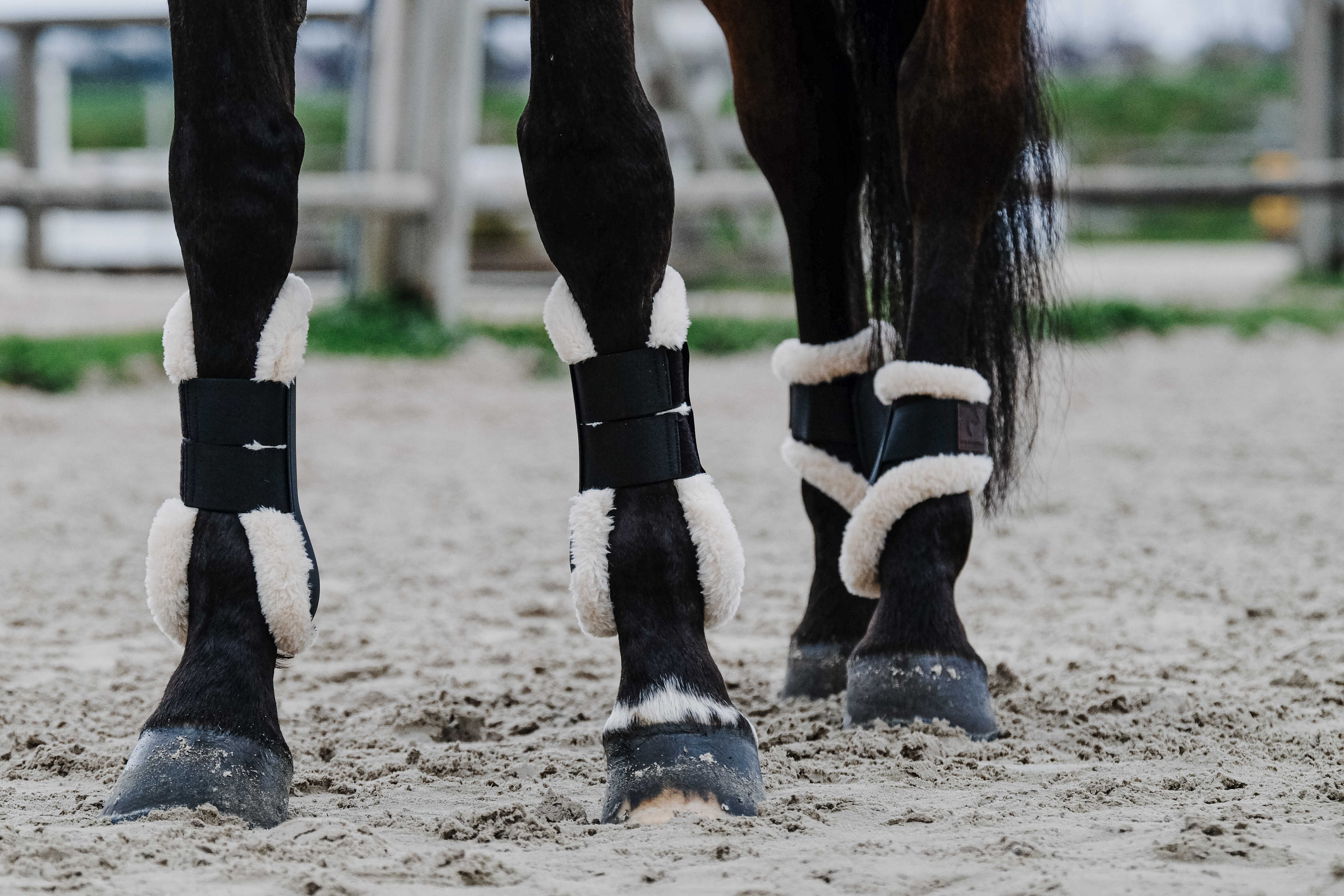 Equitheme Boa Tendon Boots with Fleece Navy blue - 3