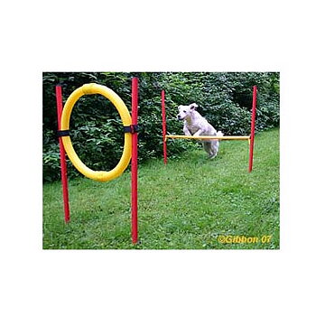 Agility Hinder 2-Pack