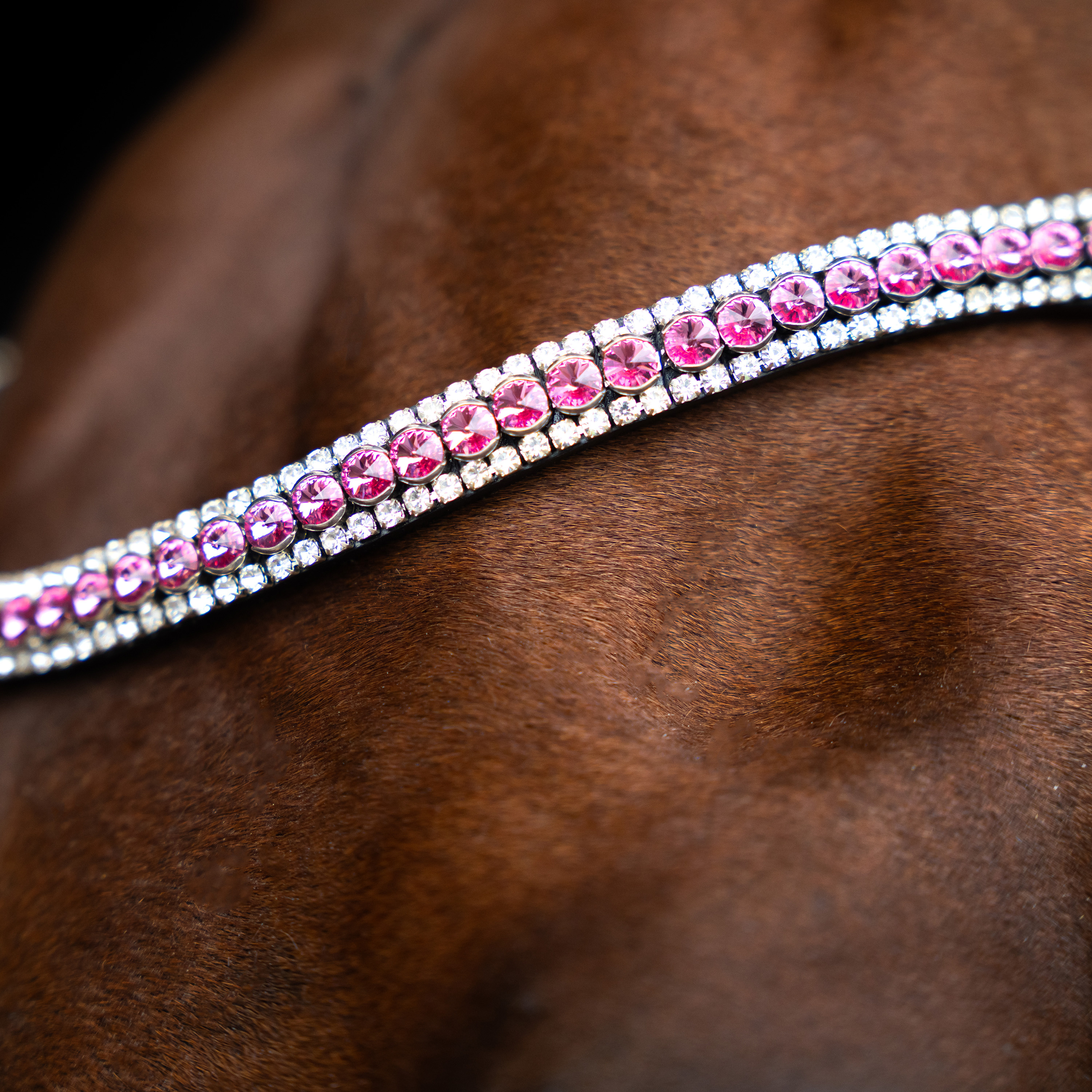 Imperial Riding Otsaremmit Beads - Multi Pinkki - 2