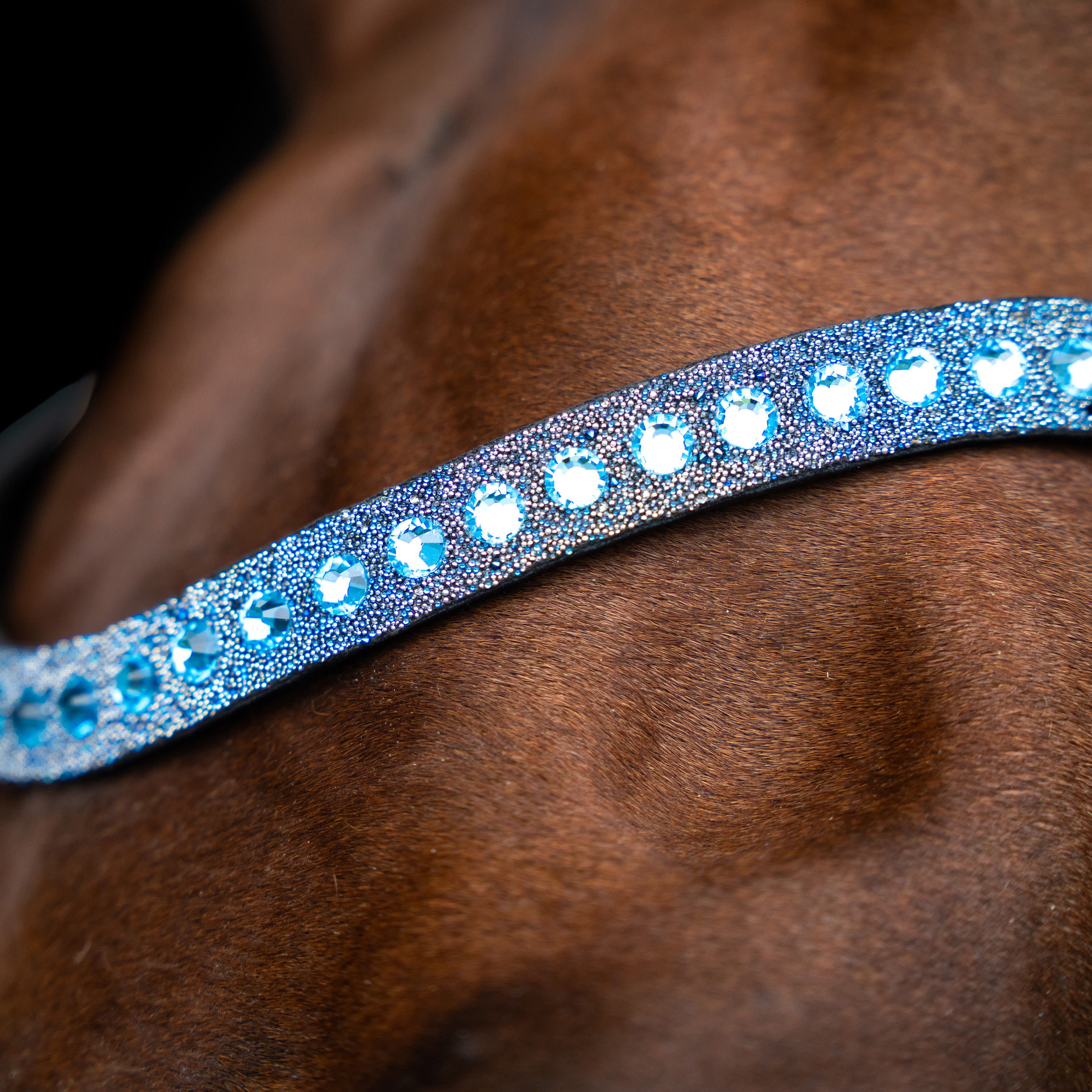 Imperial Riding Otsaremmit Slim - Sininen - 2