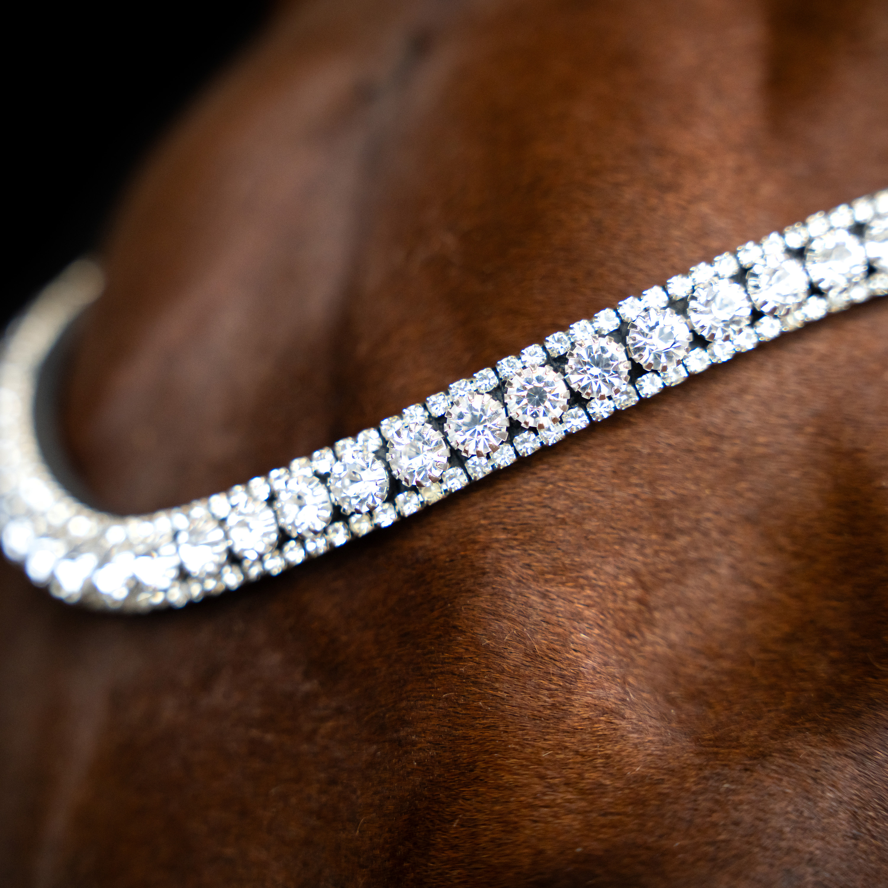 Imperial Riding Stirnriemen Slim - Silber - 2