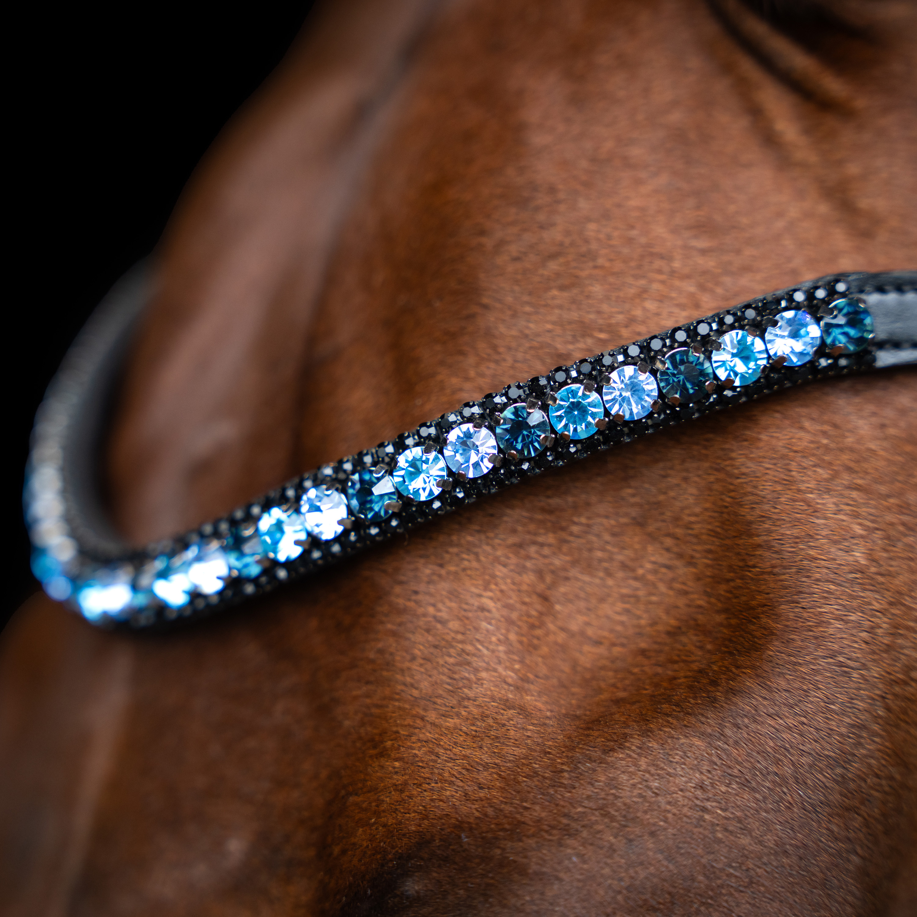 Imperial Riding Browband Grande - Blue - 2