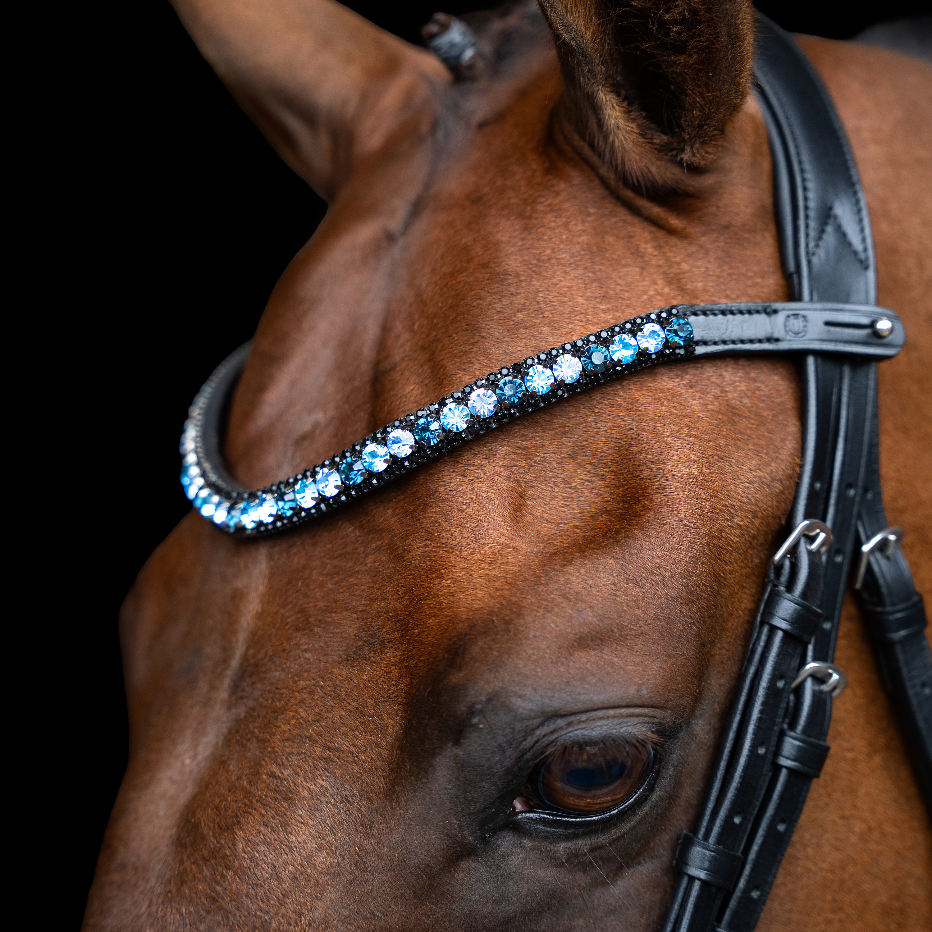 Imperial Riding Browband Grande - Blue