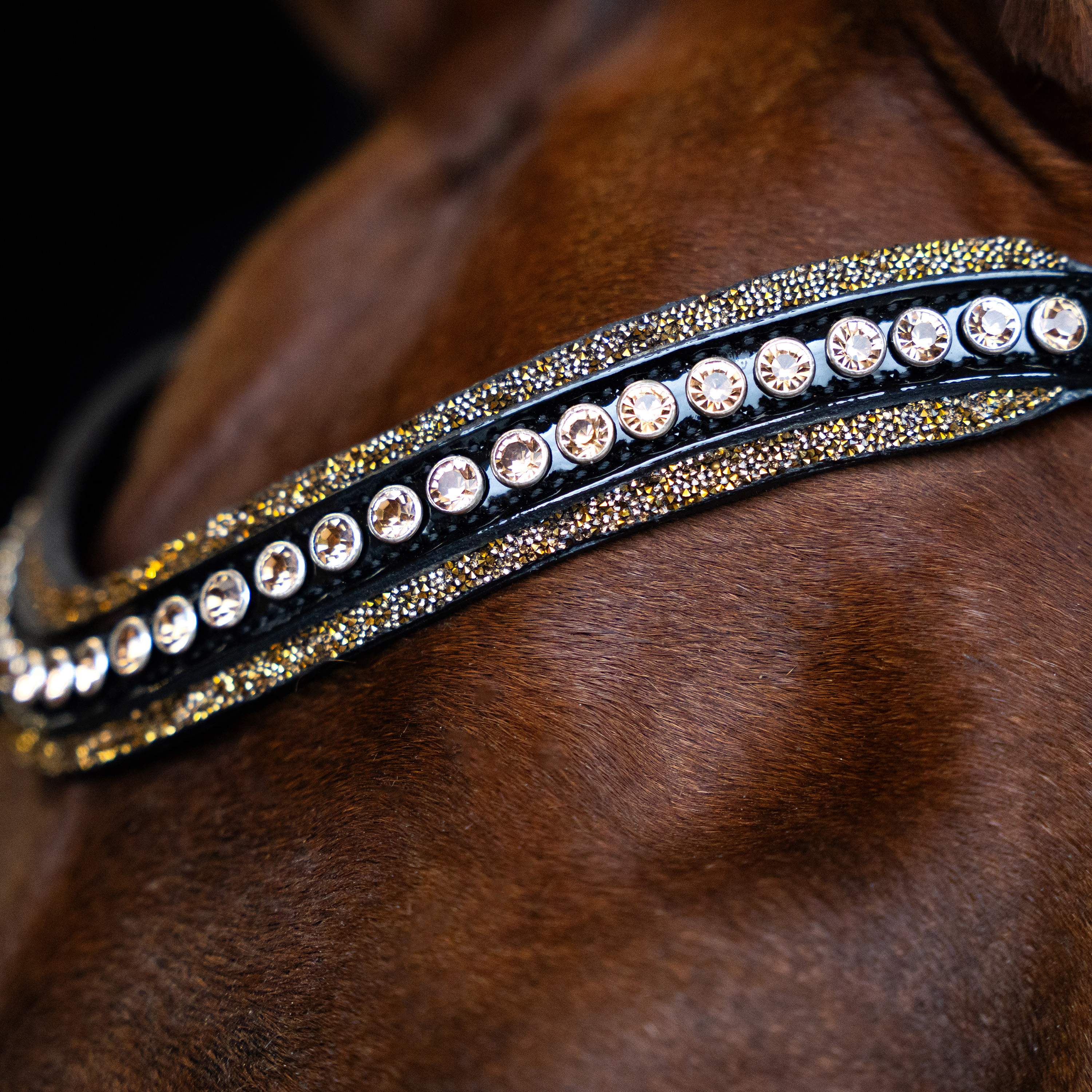 Imperial Riding Pannband Maxima - Brun - 2