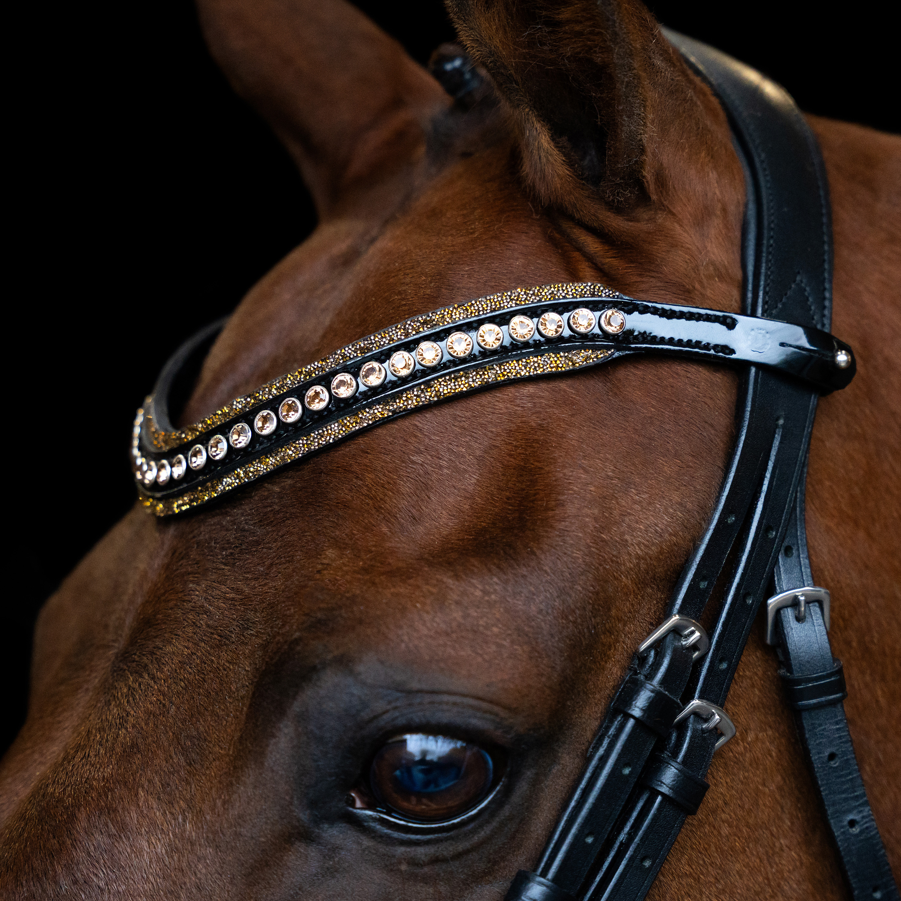 Imperial Riding Pannband Maxima - Brun