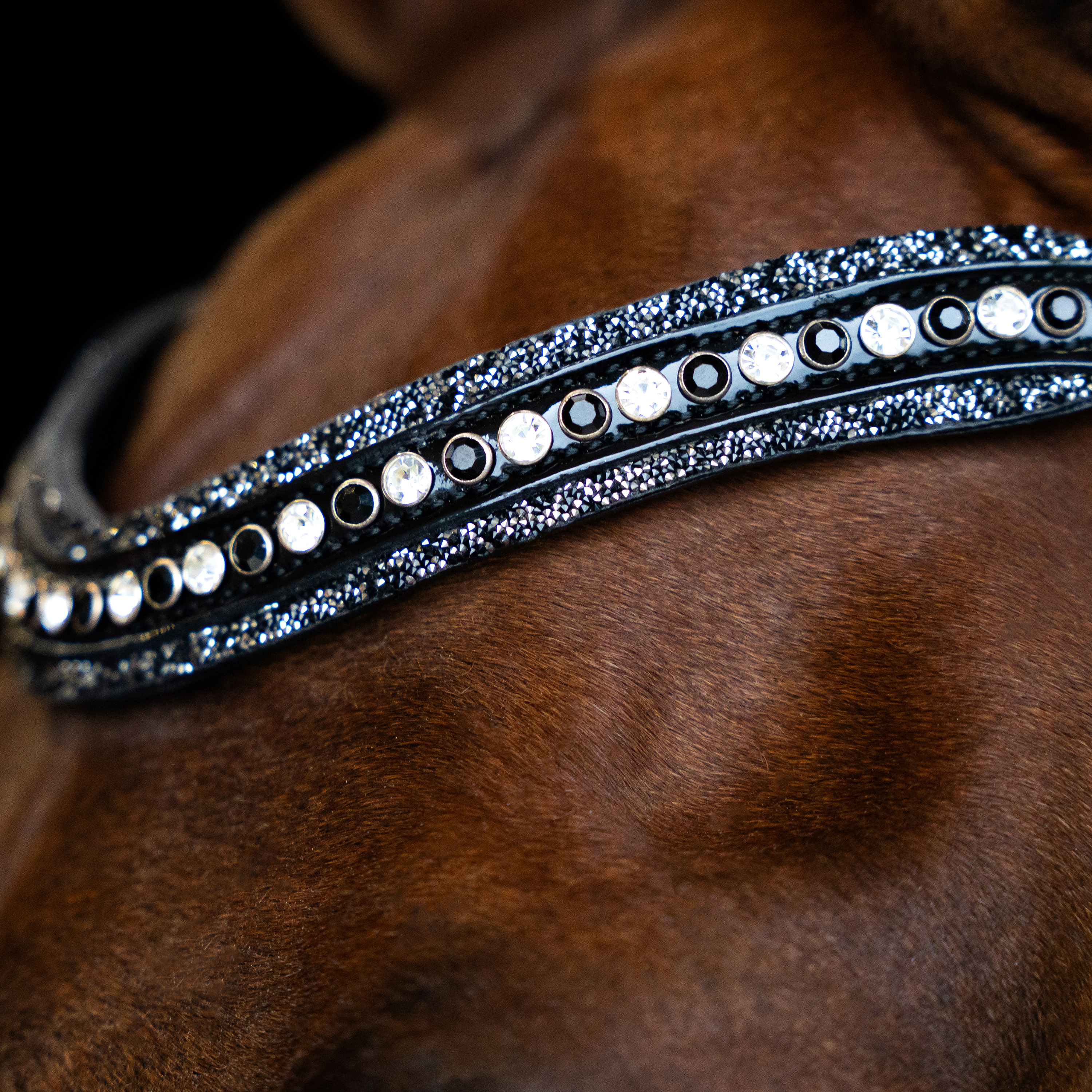 Imperial Riding Pannband Maxima - Vit-Svart - 2