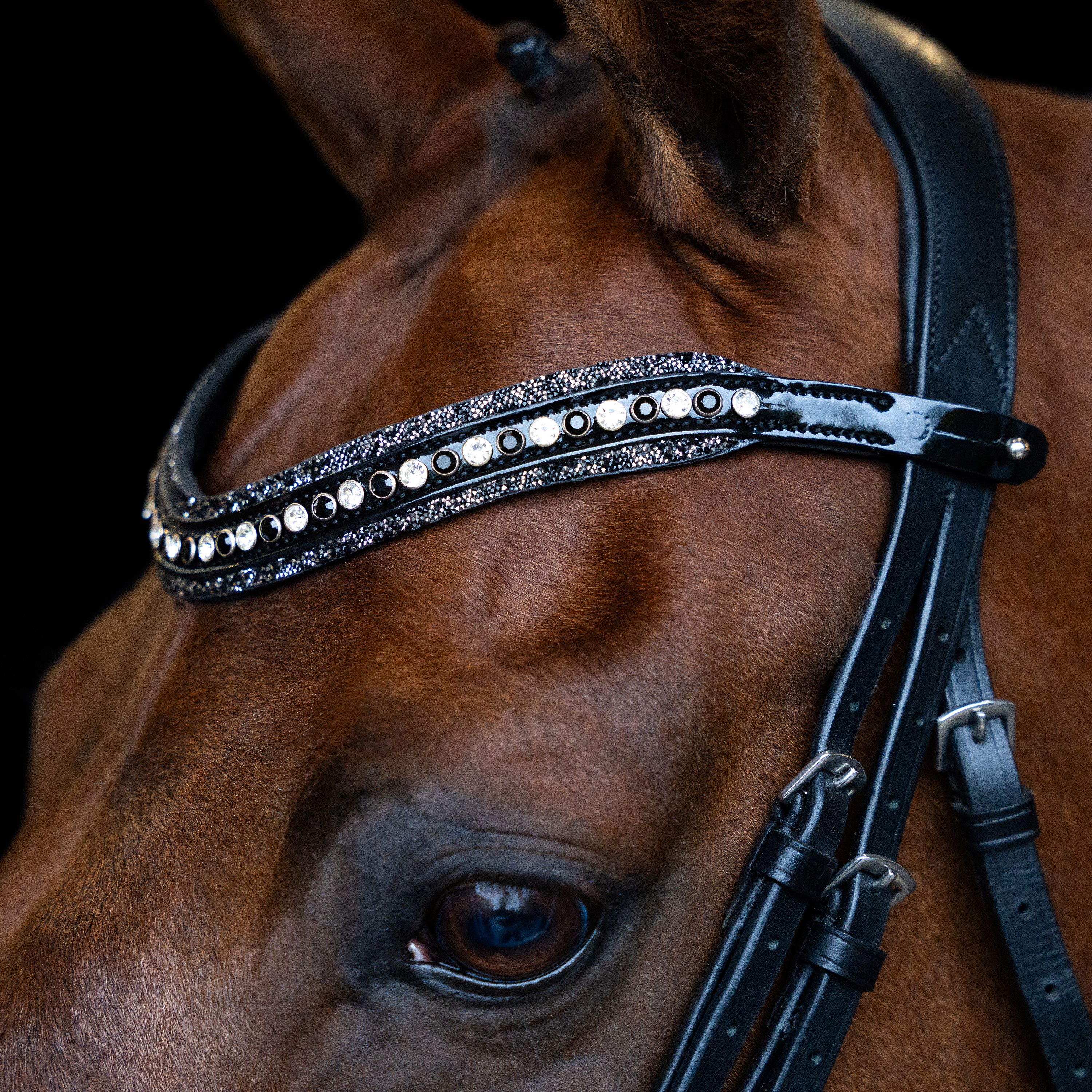 Imperial Riding Pannband Maxima - Vit-Svart