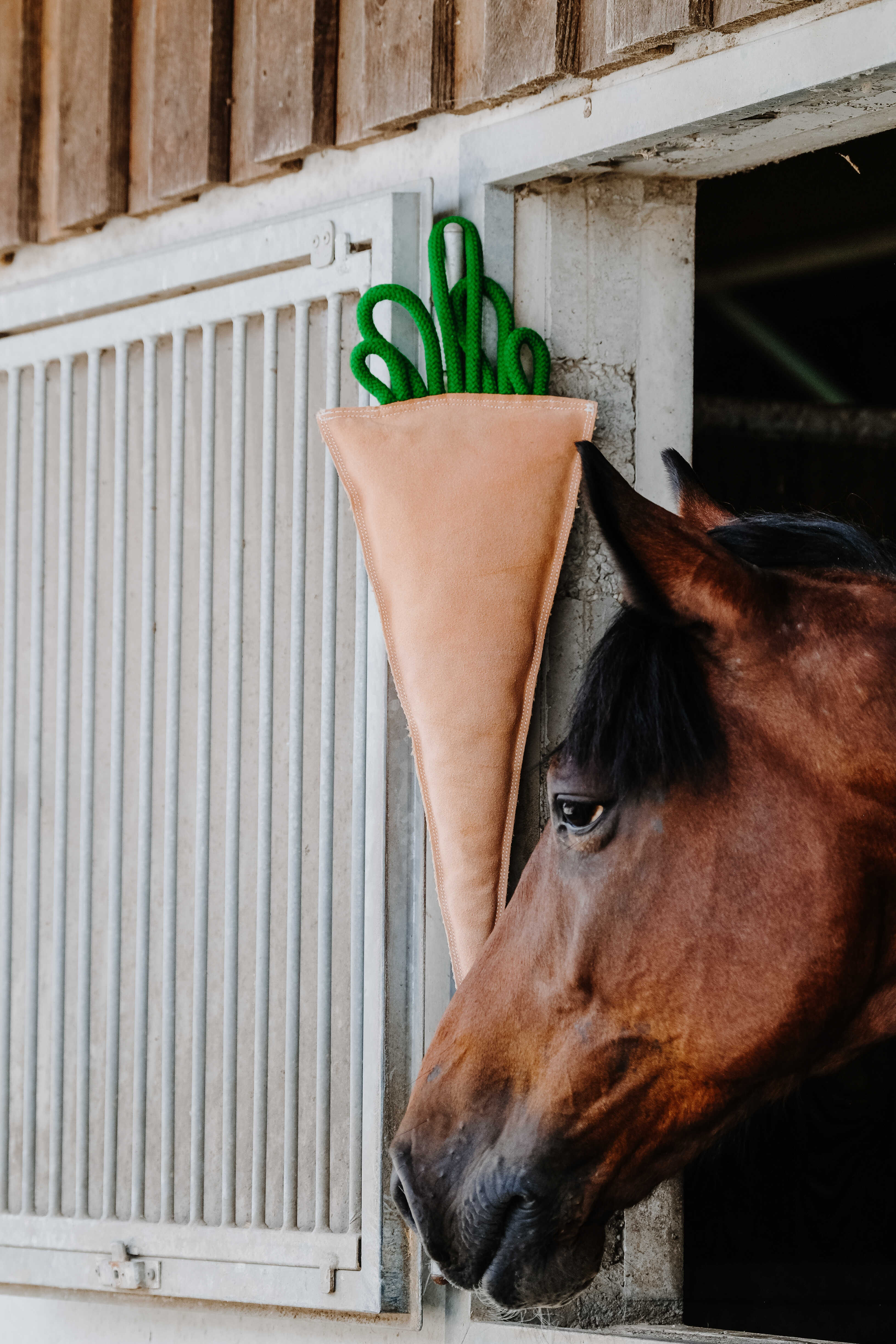 Hippotonic Carrot Horse Toy Orange - 3
