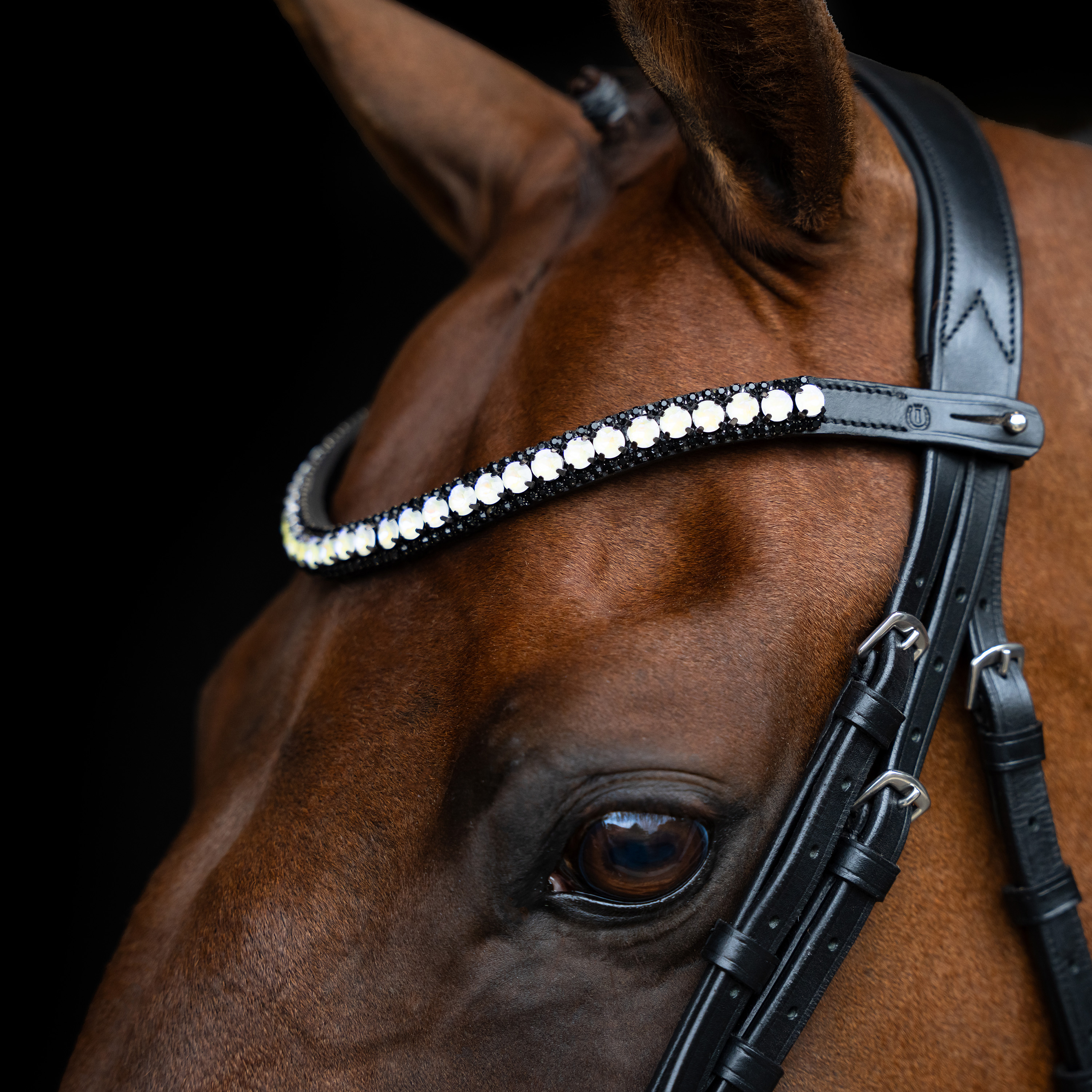 Imperial Riding Browband Maxima - Graphite