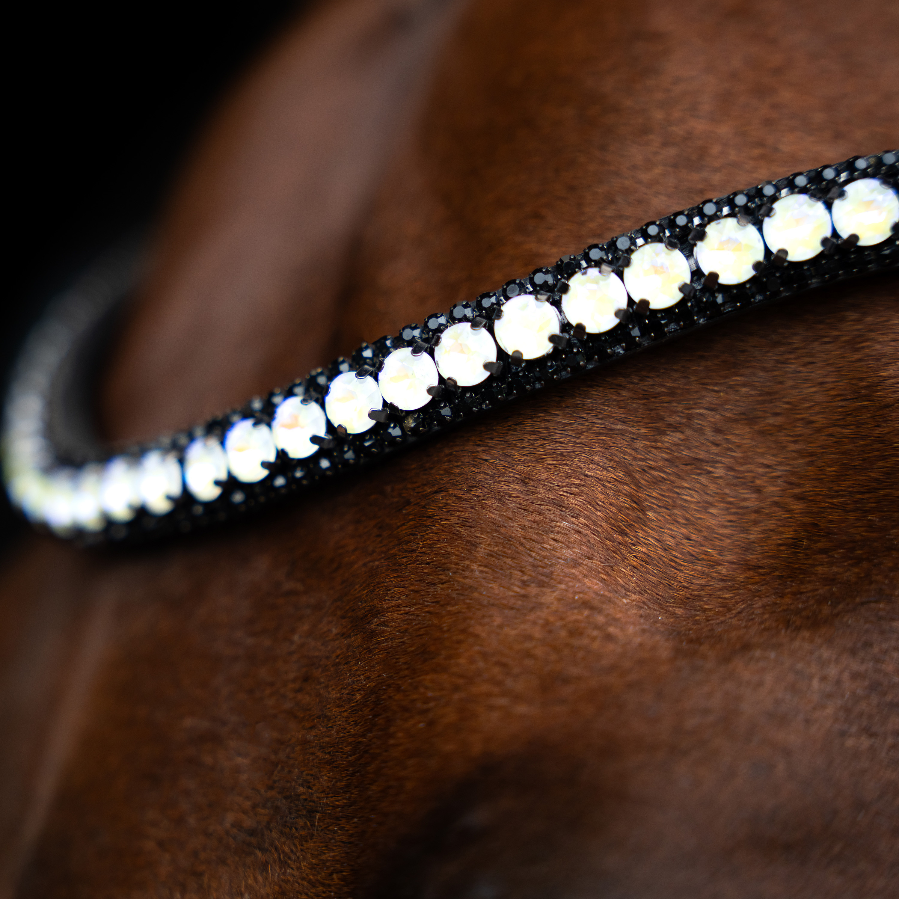 Imperial Riding Browband Maxima - Graphite - 2