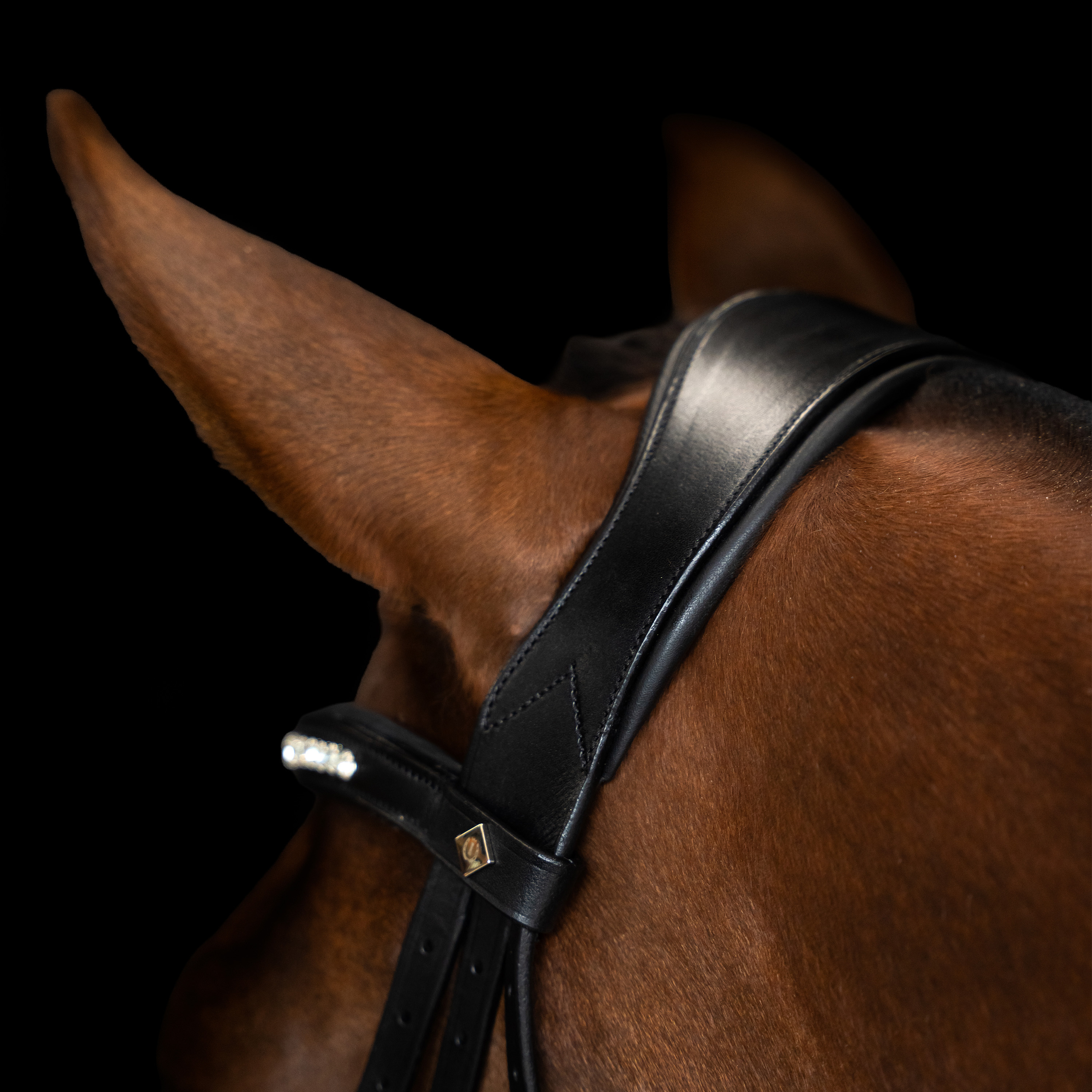 Imperial Riding Suitset yhdistelmäturparemmi yksinkertainen - Musta - 5