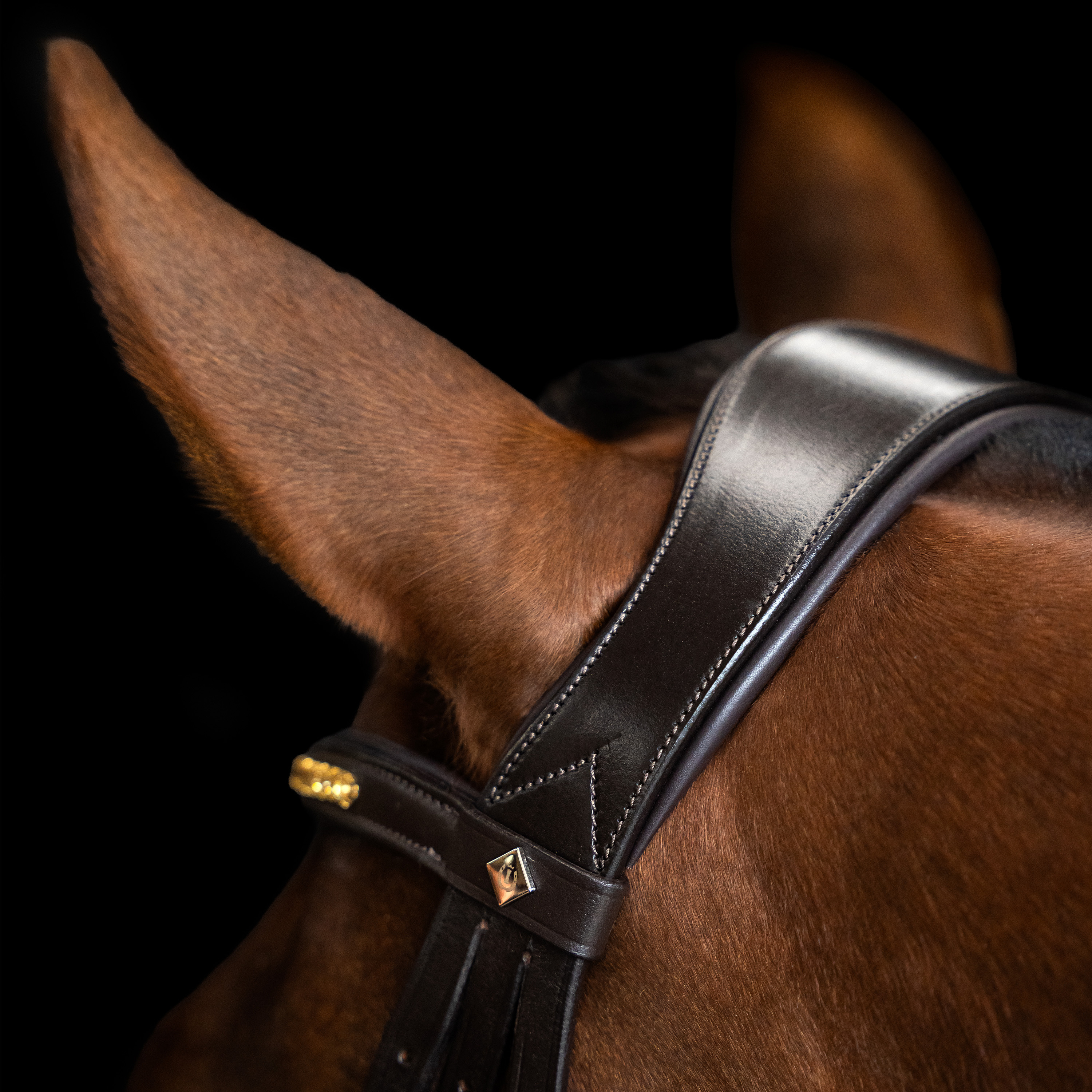 Imperial Riding Suitset yhdistelmäturparemmi yksinkertainen - Ruskea - 5
