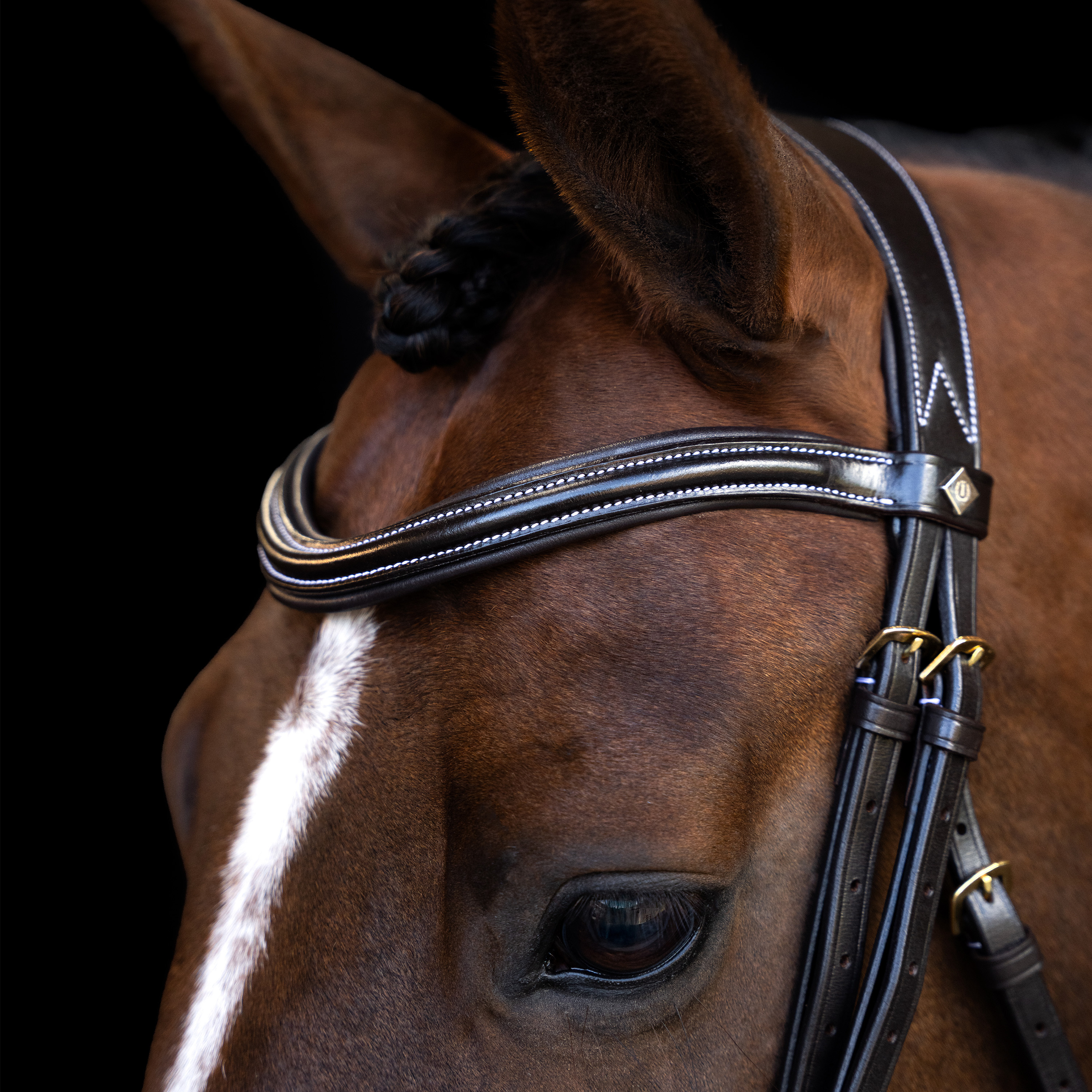Imperial Riding Träns med svängd engelsk nosgrimma - Brun - 2