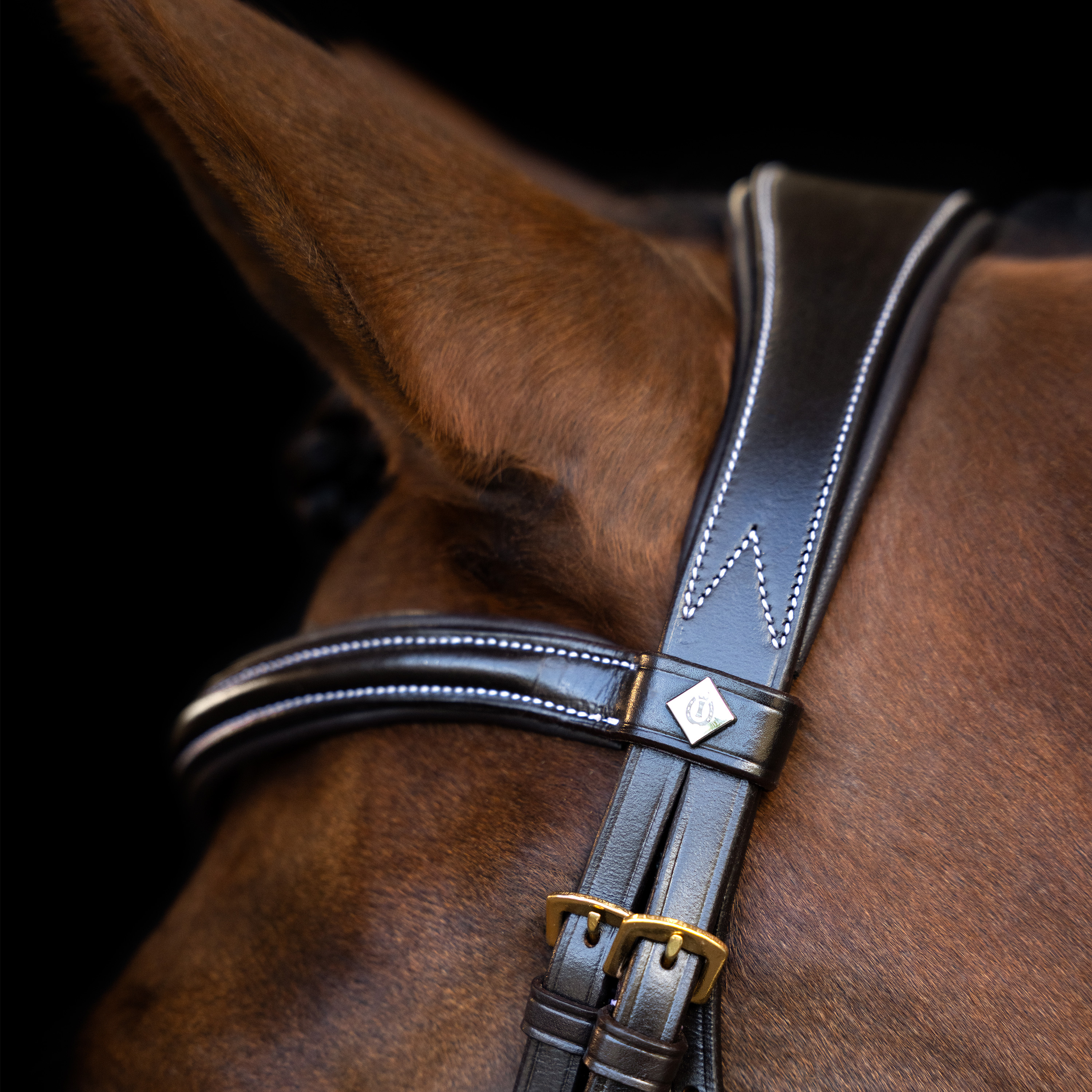 Imperial Riding Träns med svängd engelsk nosgrimma - Brun - 3