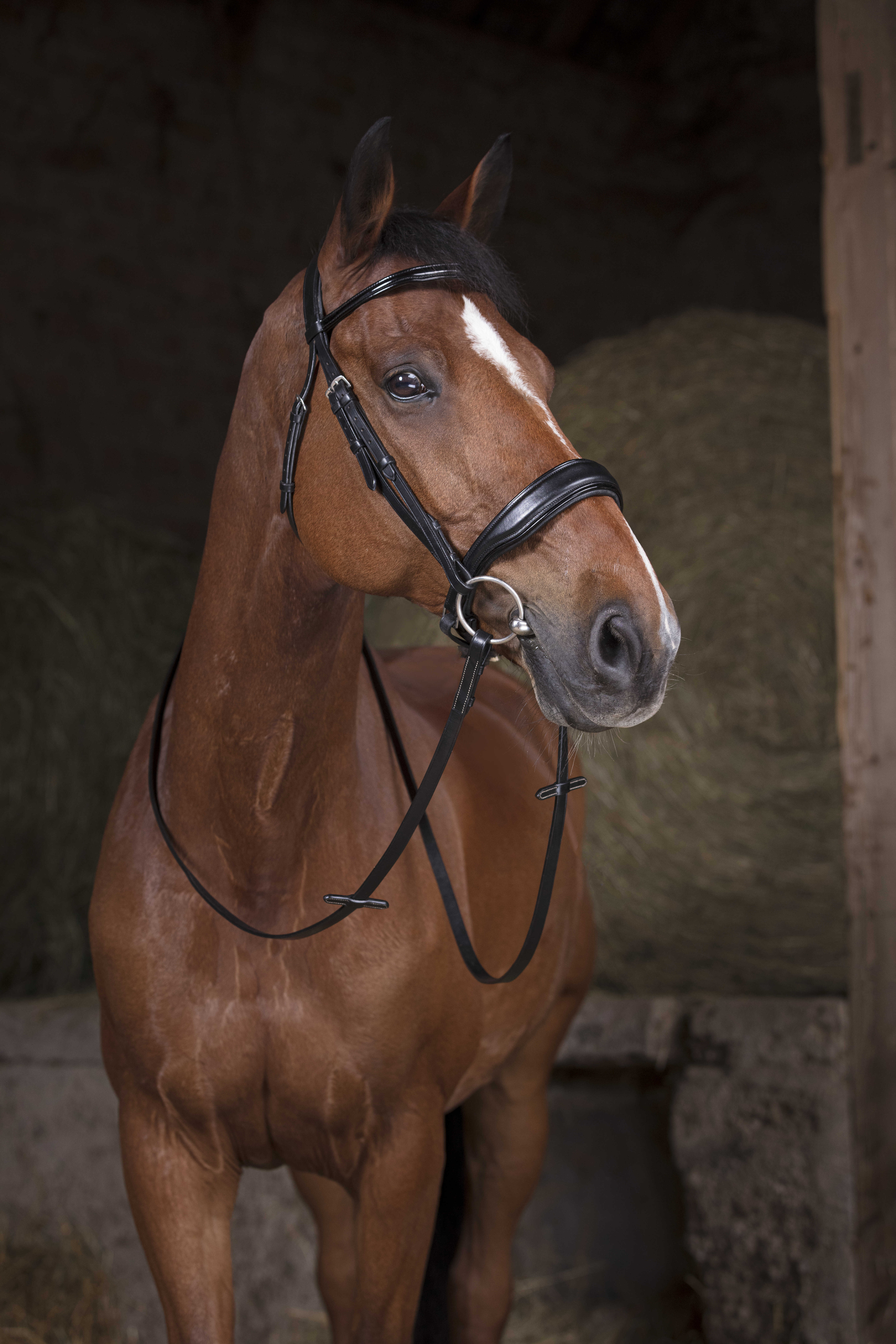 Norton Net Reins 16mm Black - 3