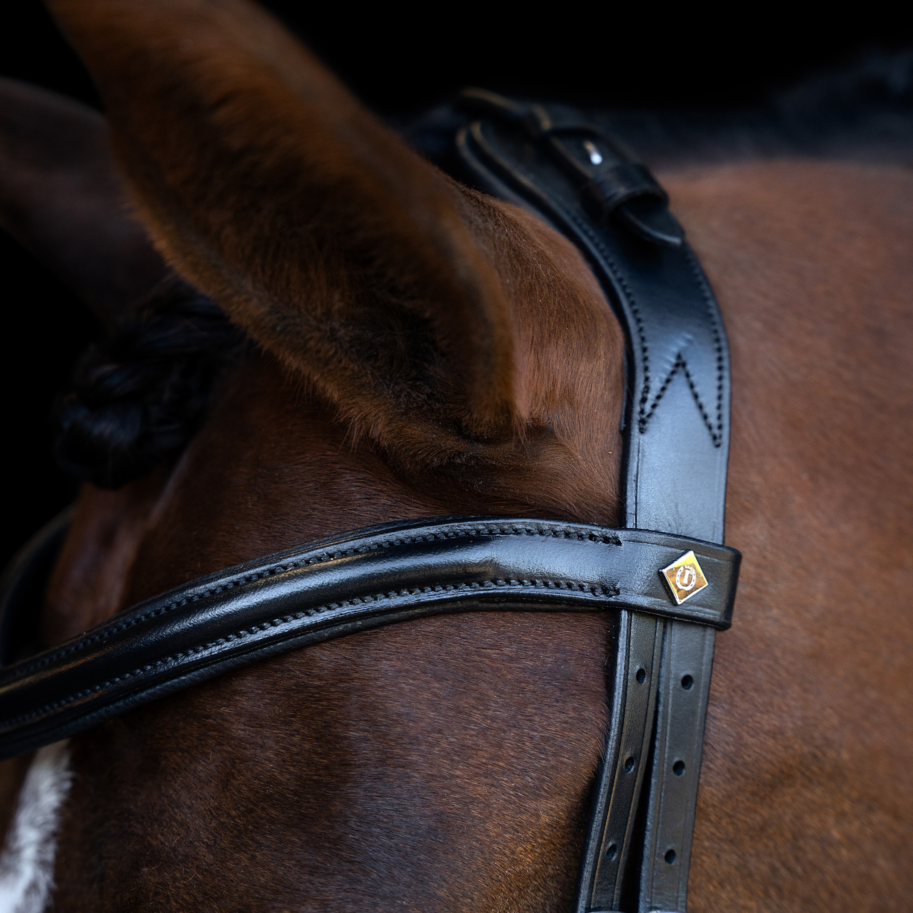 Imperial Riding Suitset ergonomisella drop-turparemmillä/flash - Musta - 3