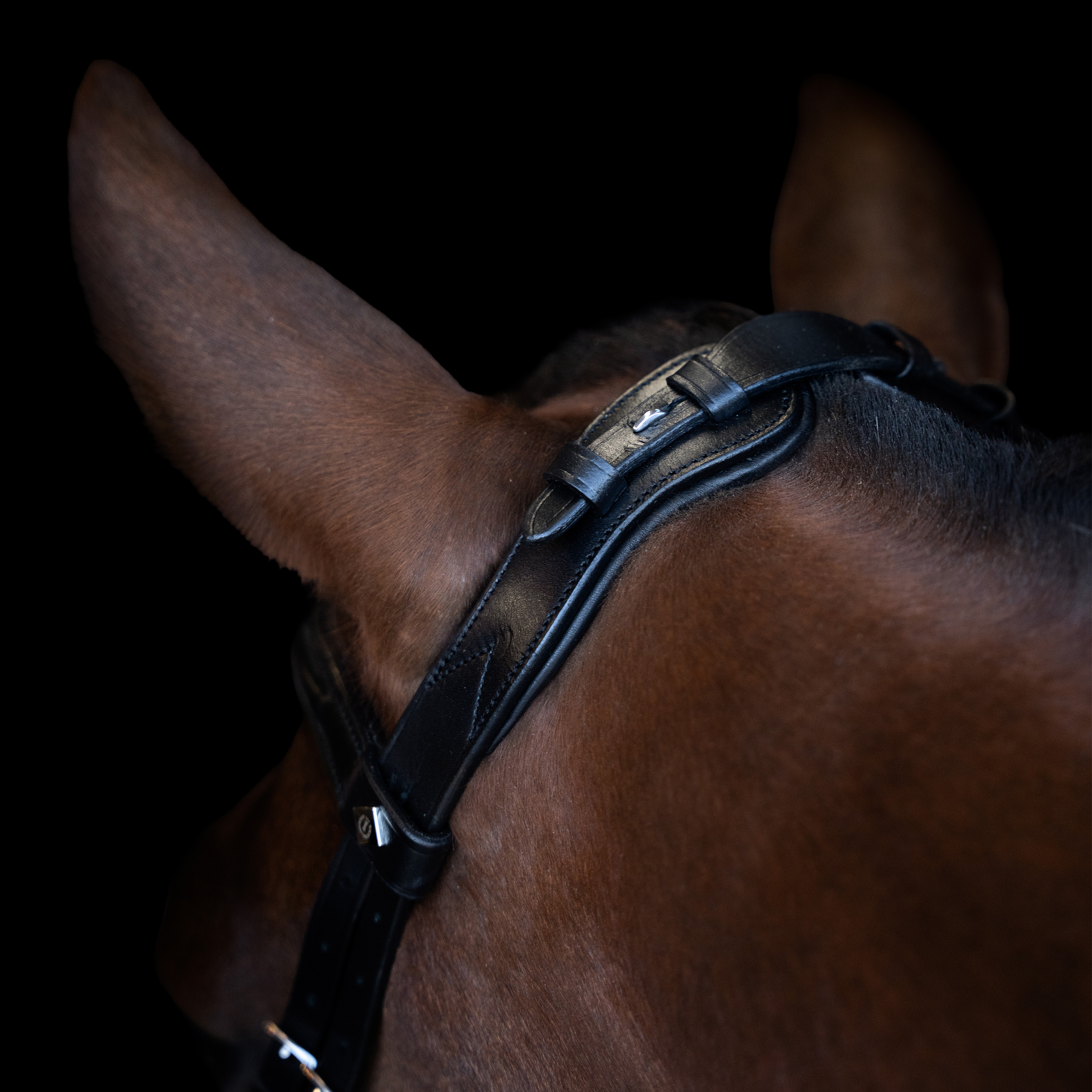 Imperial Riding Suitset ergonomisella drop-turparemmillä/flash - Musta - 5