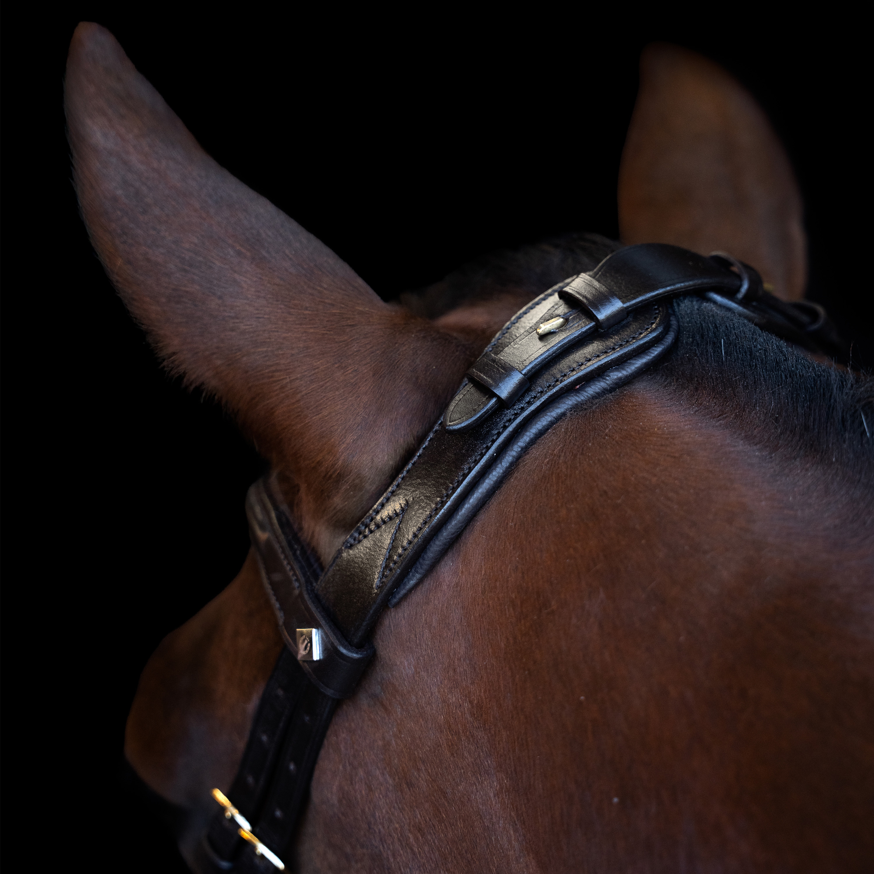 Imperial Riding Suitset ergonomisella drop-turparemmillä/flash - Ruskea - 5