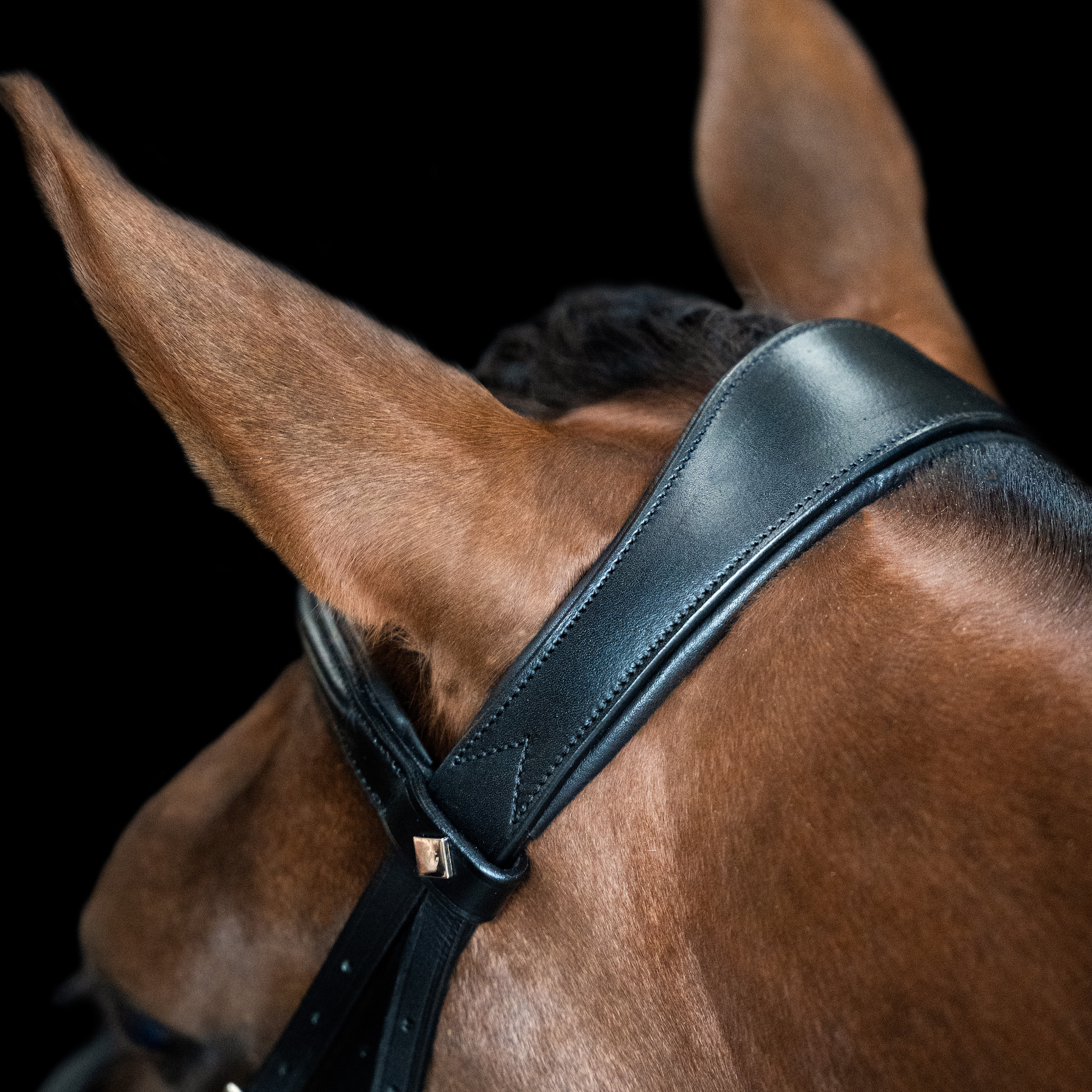Imperial Riding Suitset englantilainen yhdistelmä kapea - Musta - 5