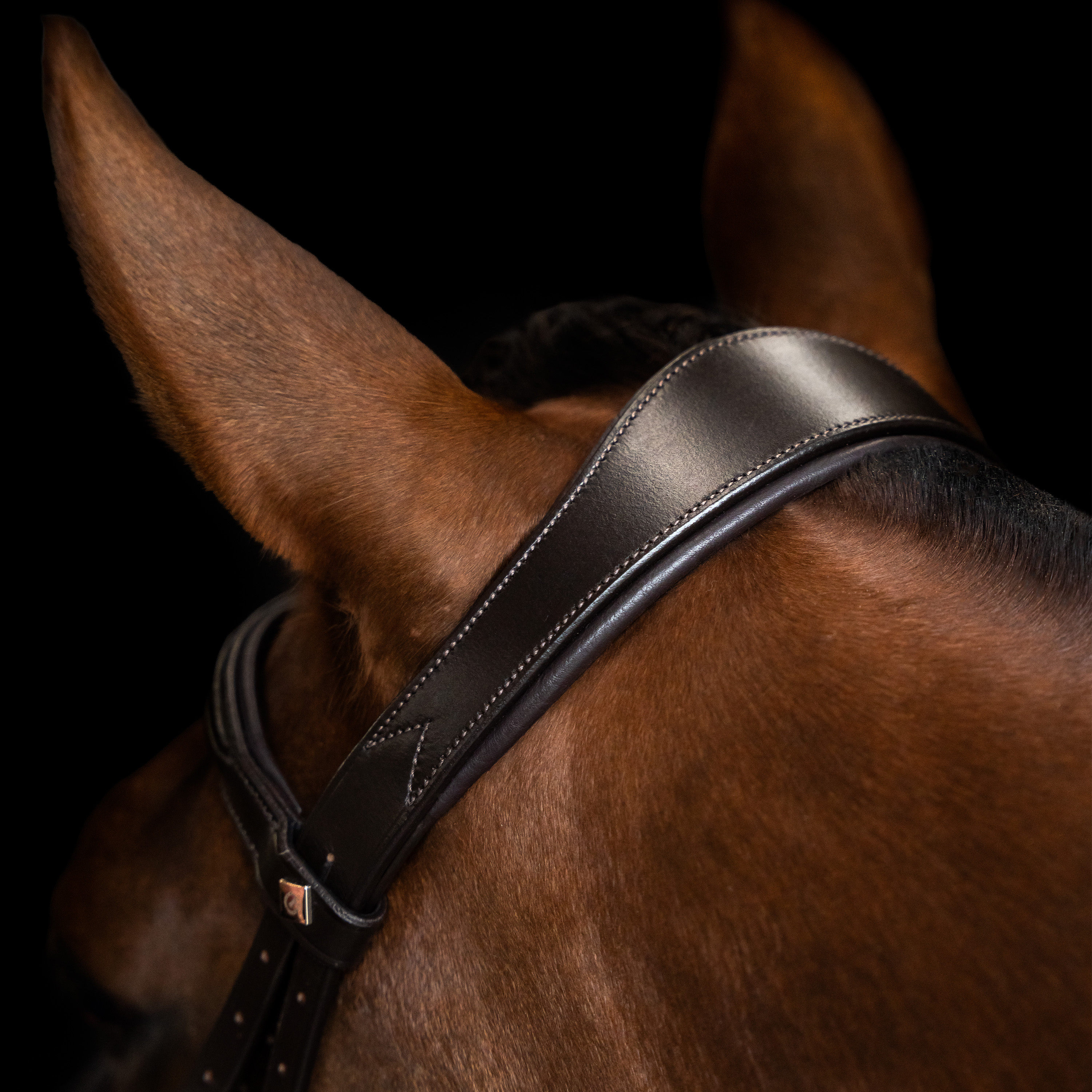 Imperial Riding Träns engelsk kombinerad smal - Brun - 5