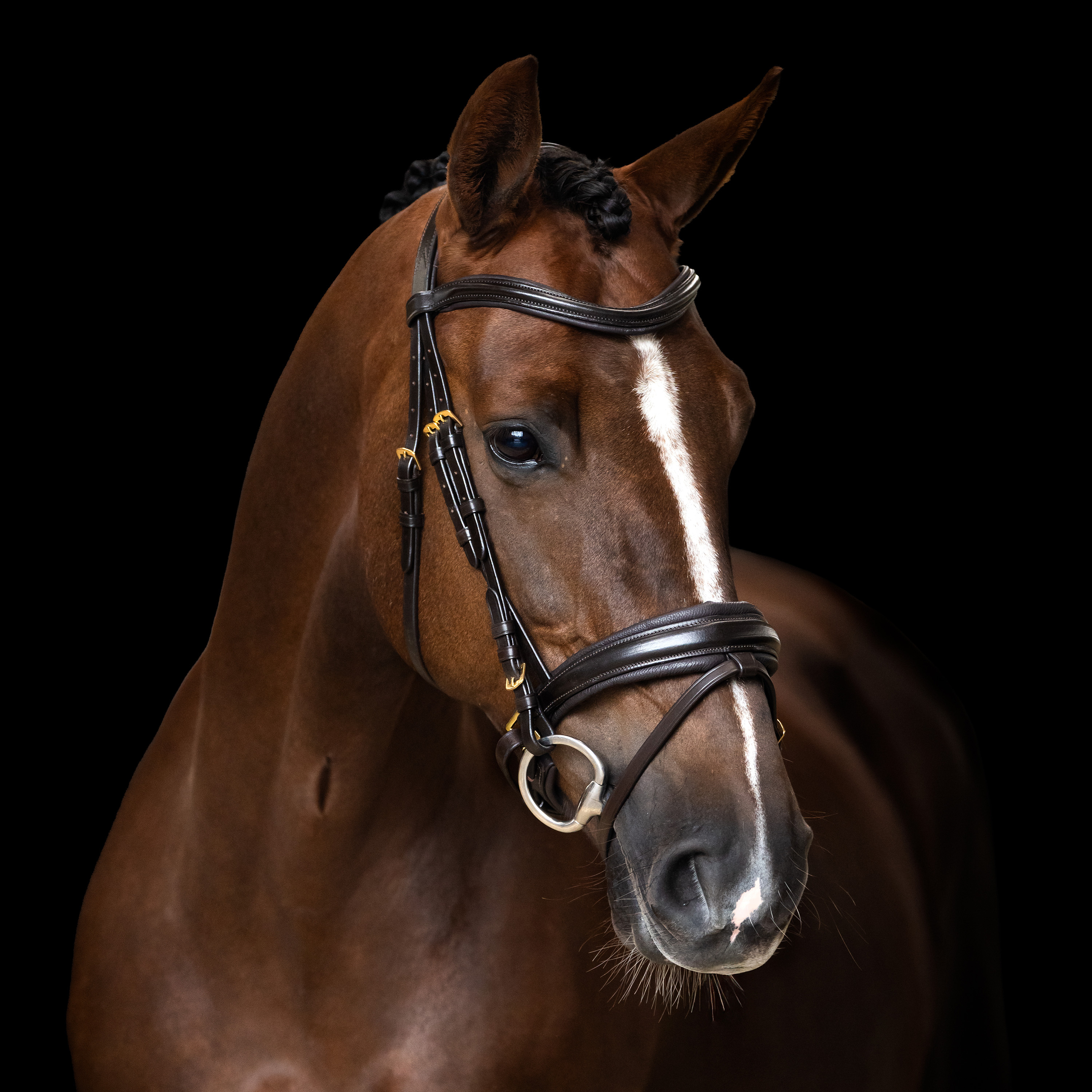 Imperial Riding Träns engelsk kombinerad smal - Brun