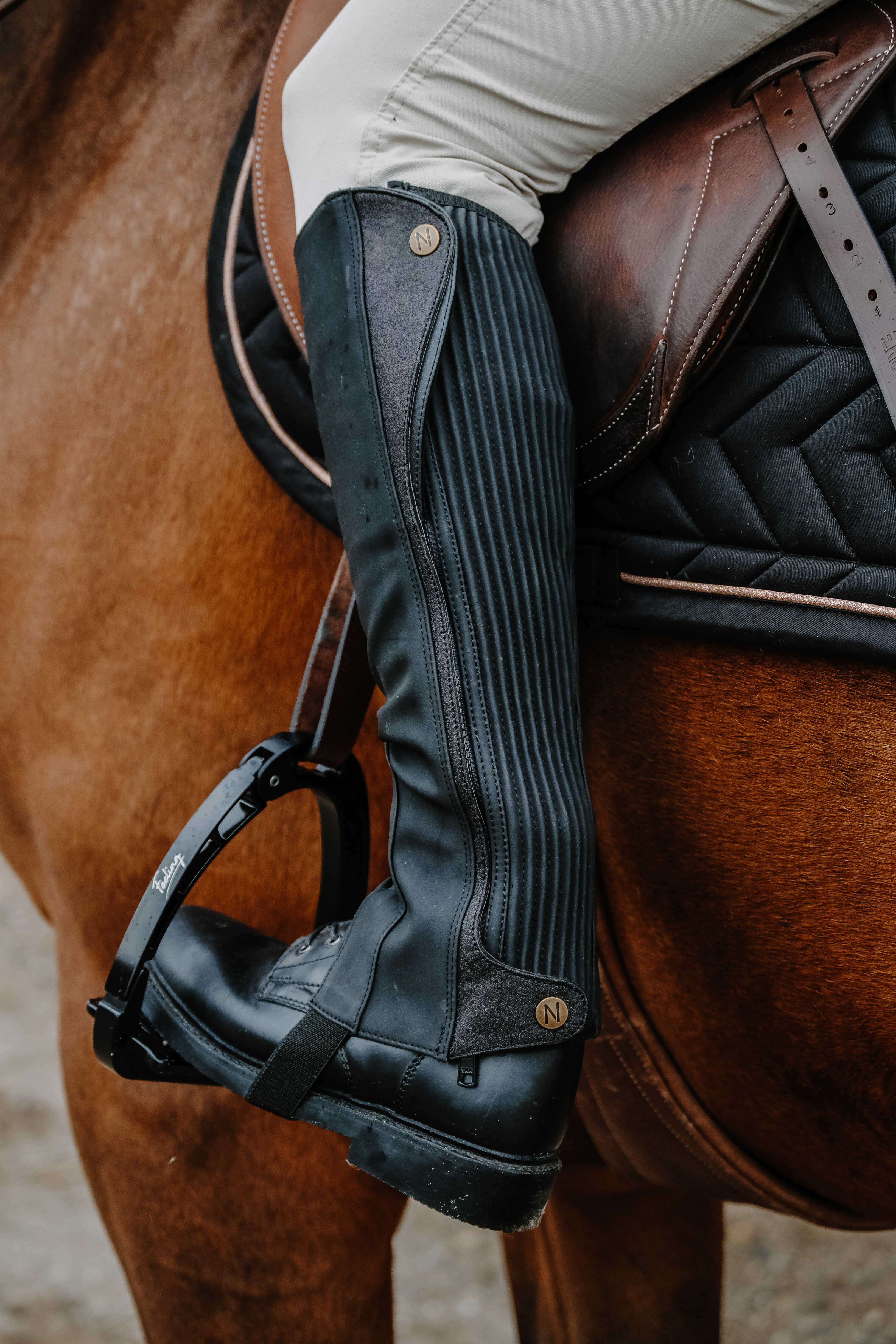 Norton Galaxy Chaps Black - 2