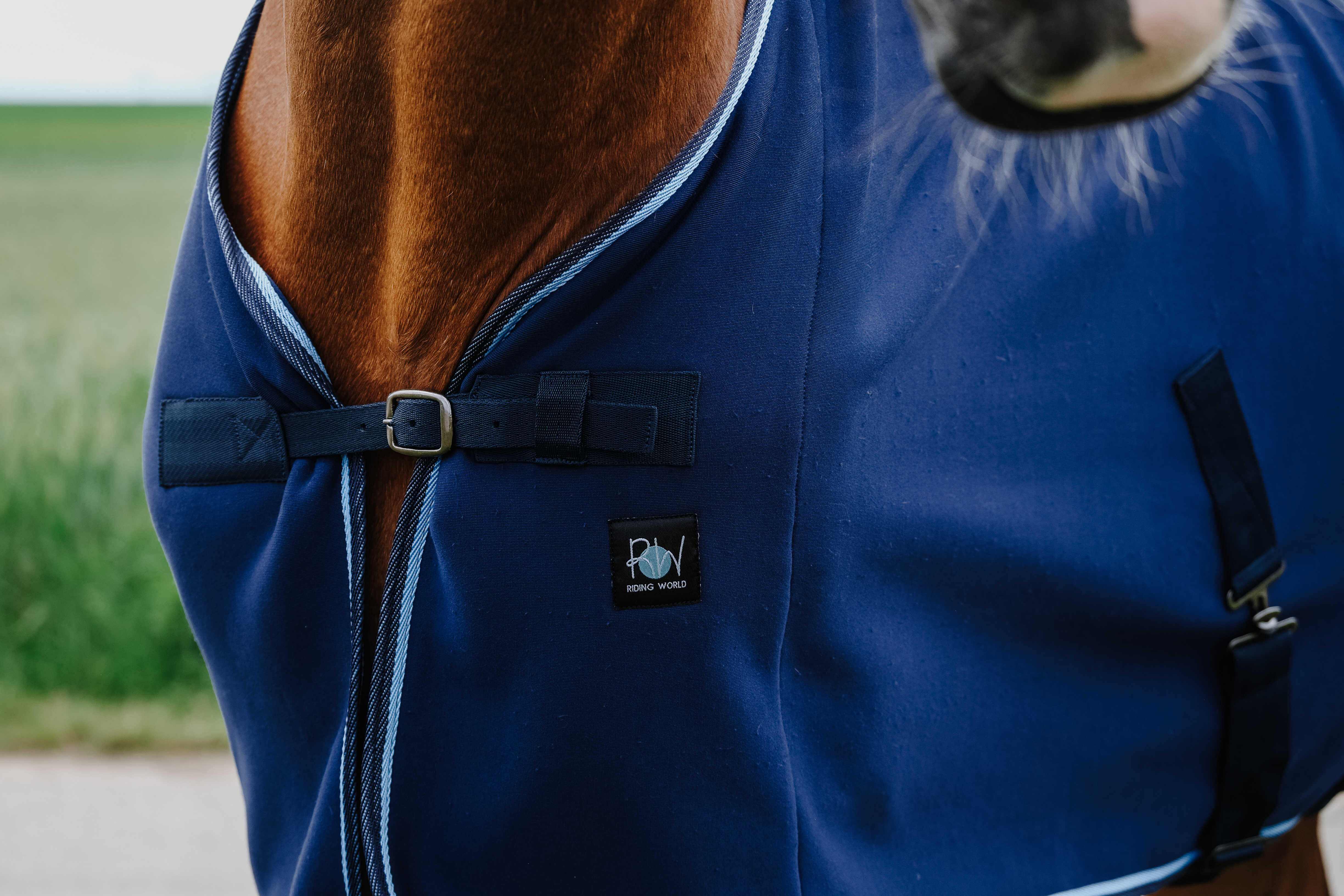 Riding World Drying Sheet/Sweat Rug Navy blue - 4