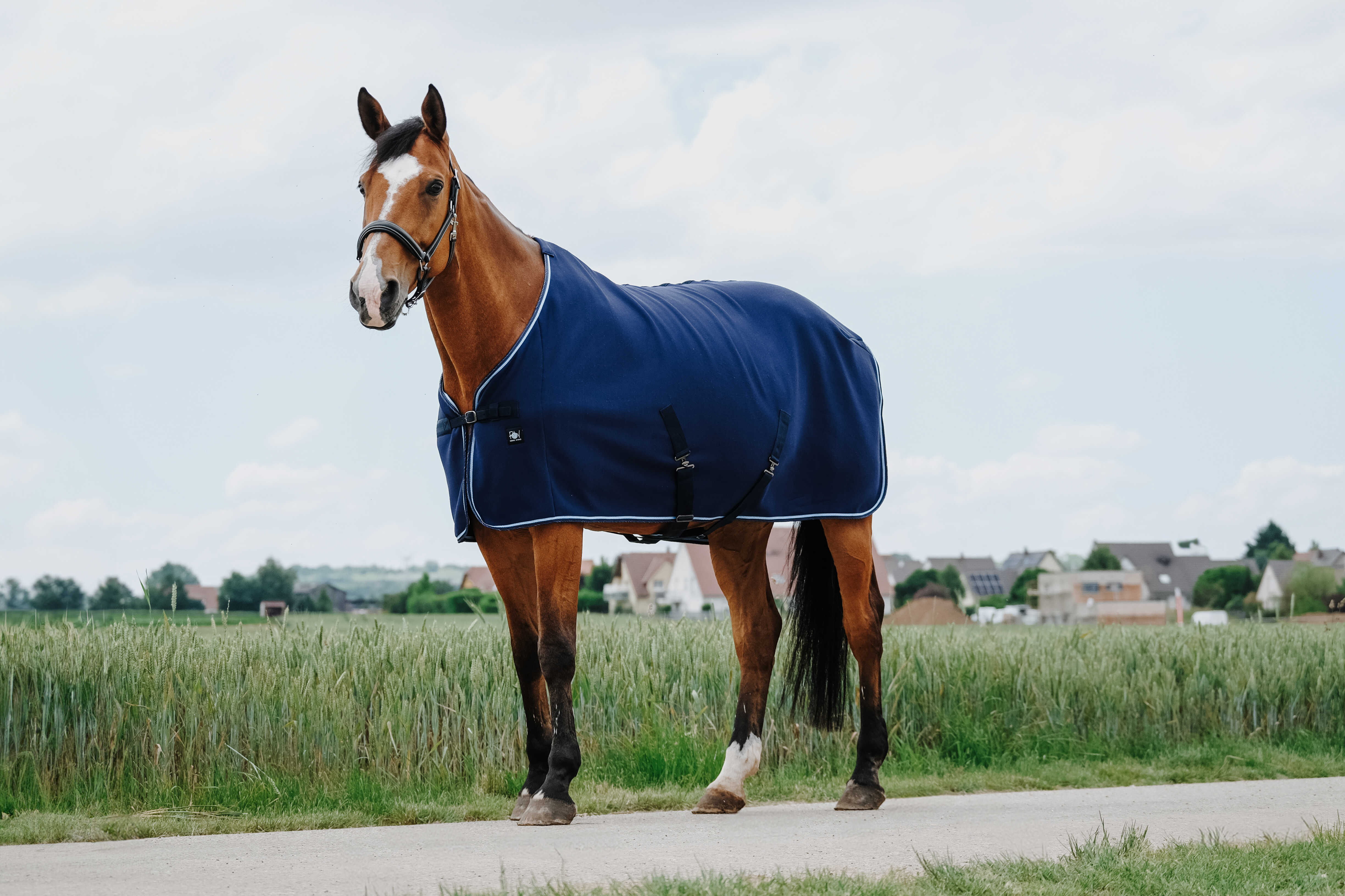 Riding World Drying Sheet/Sweat Rug Navy blue - 3