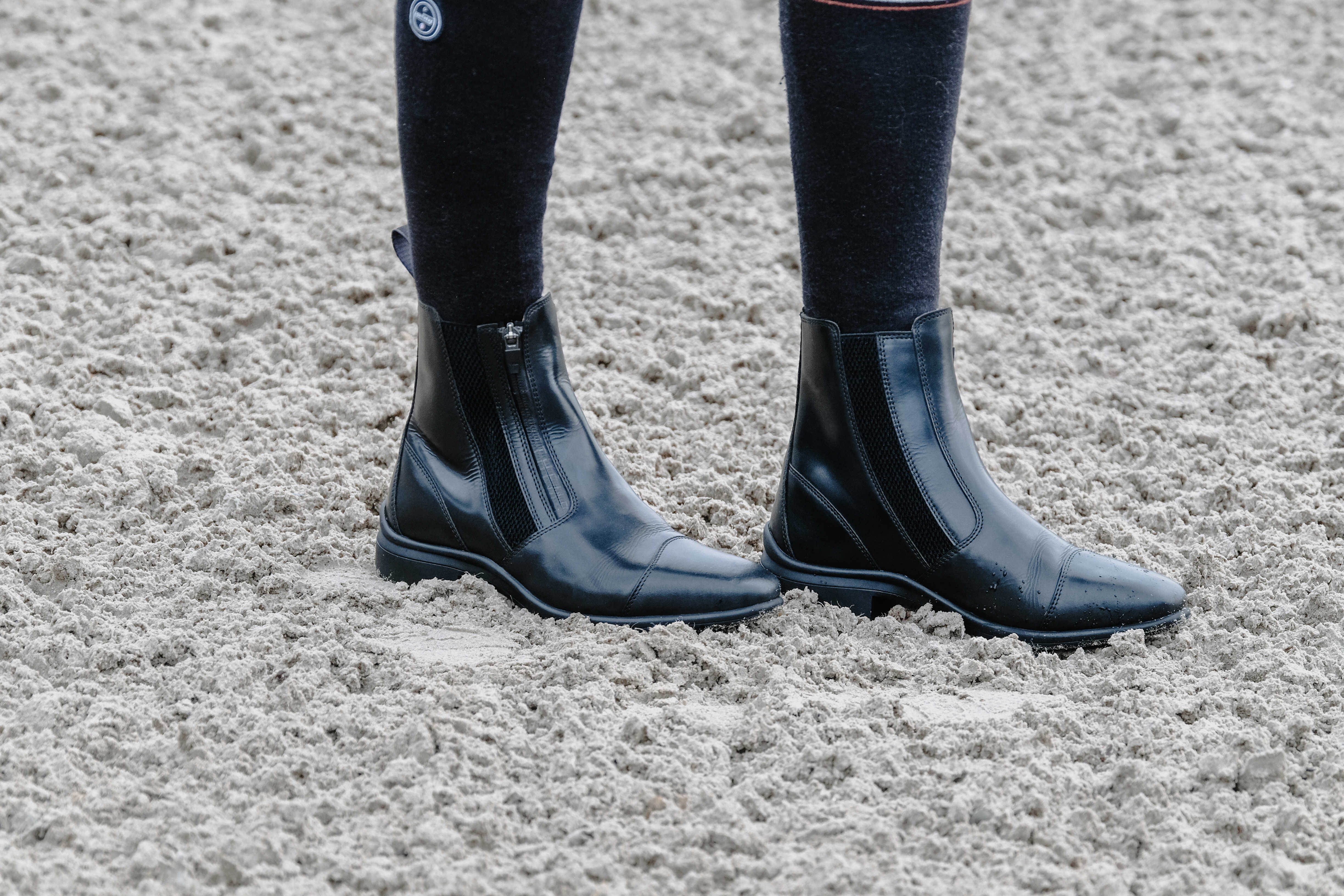 Equitheme Sportliche Reitschuhe mit Reißverschluss Schwarz - 2
