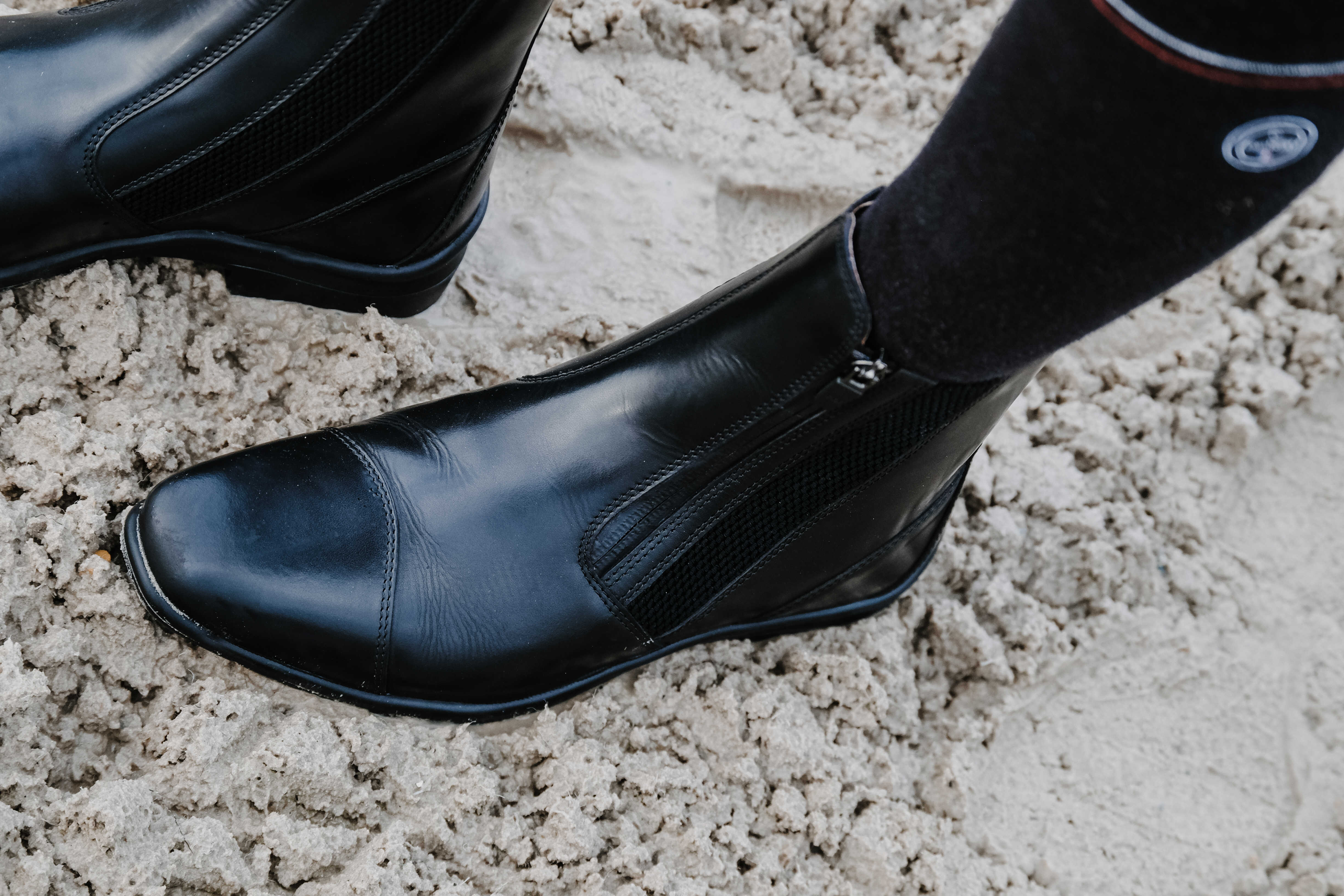 Equitheme Sportliche Reitschuhe mit Reißverschluss Schwarz - 5