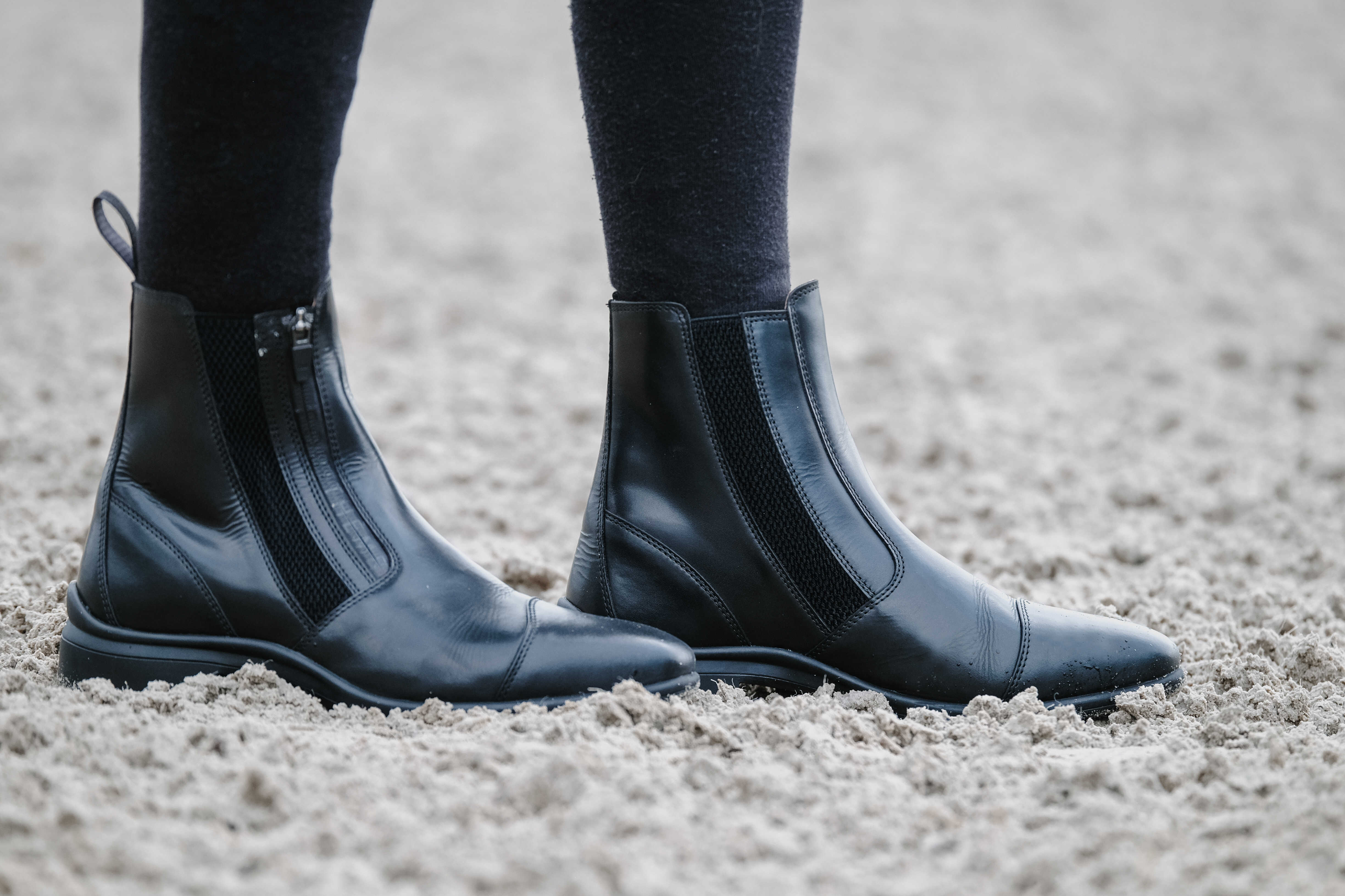 Equitheme Sportliche Reitschuhe mit Reißverschluss Schwarz - 3