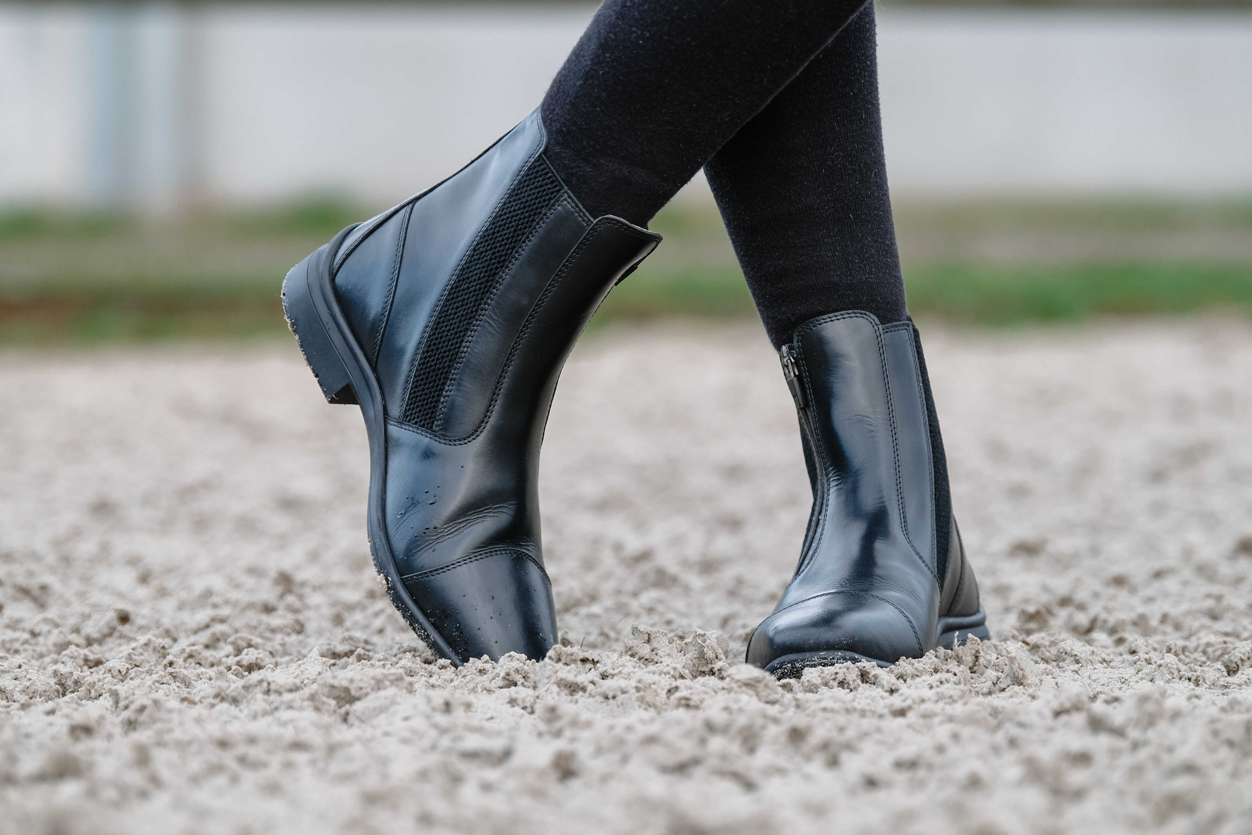 Equitheme Sportliche Reitschuhe mit Reißverschluss Schwarz - 4
