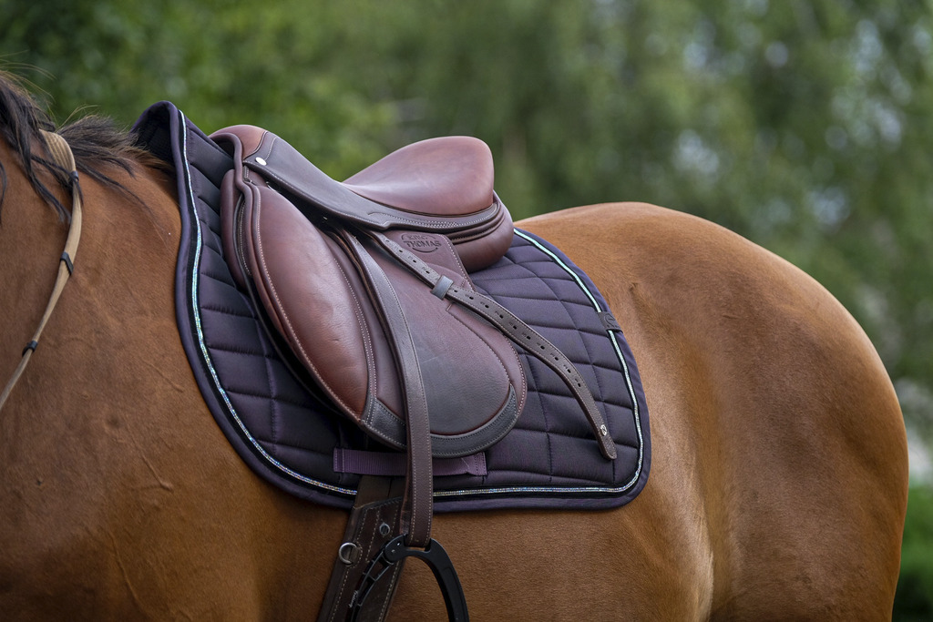 EQUITHEME 'Domino' Saddle Pad Purple - Full size - 3