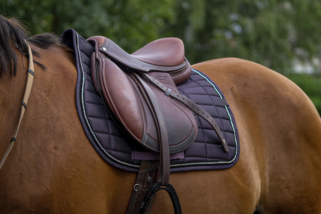 EQUITHEME 'Domino' Saddle Pad Purple - Full size - 2