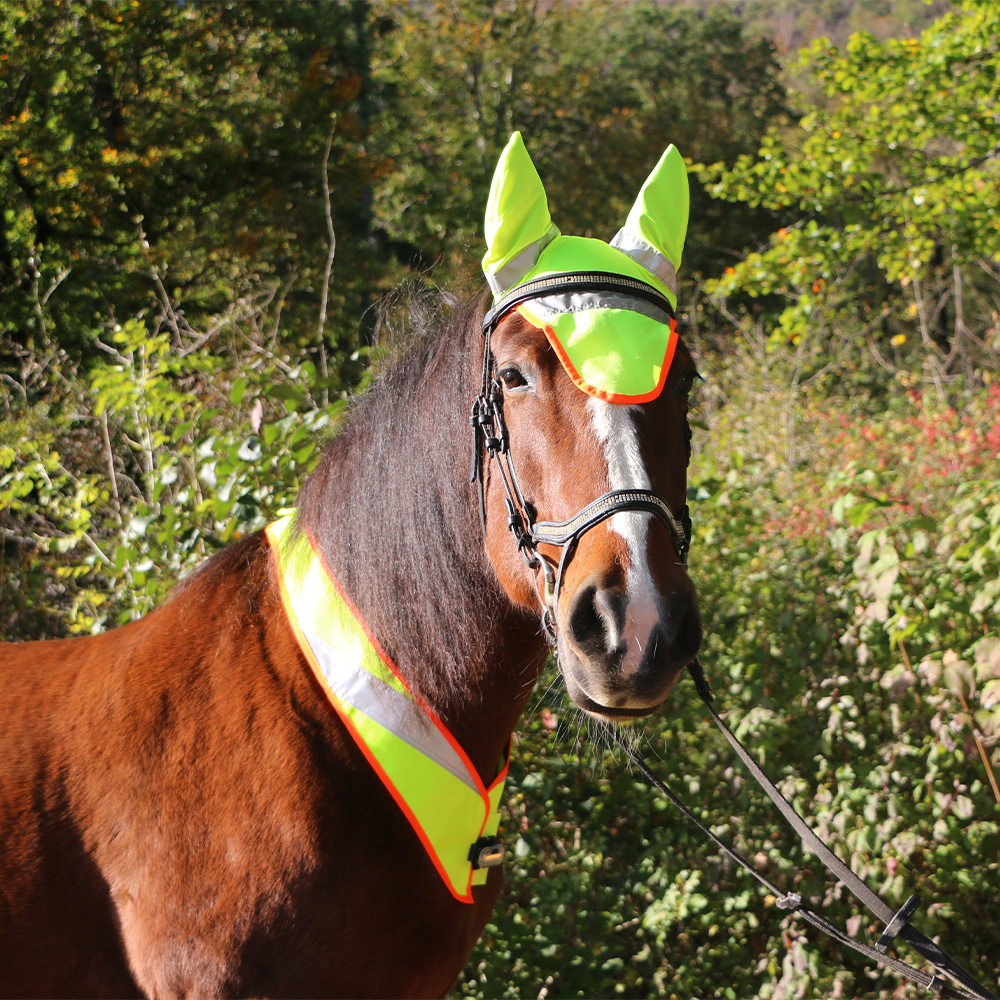 Washington Luminous Ear Bonnet For Horse And Pony - Glow-In-The-Ear